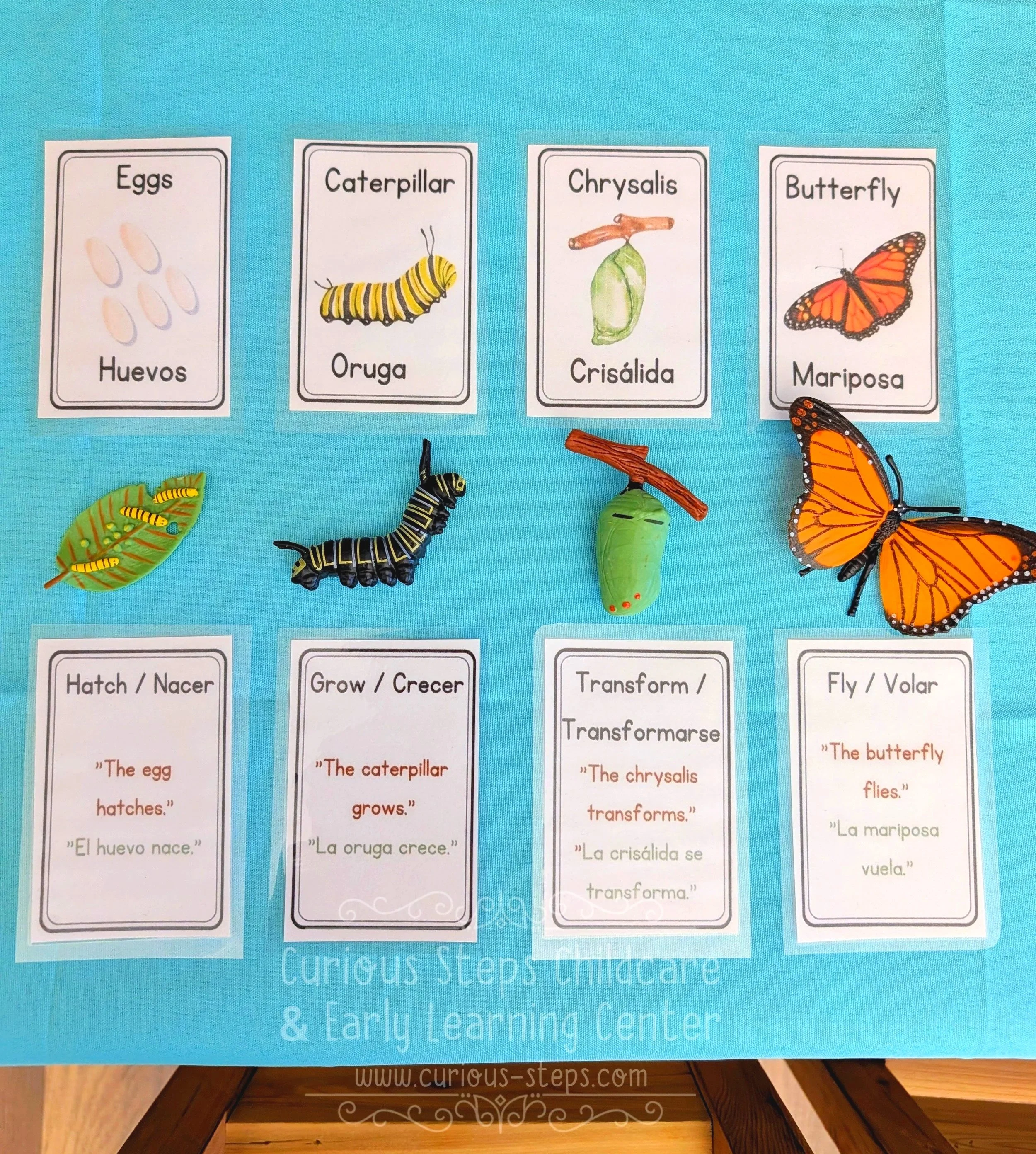 bilingual-butterfly-flashcards-3.jpg