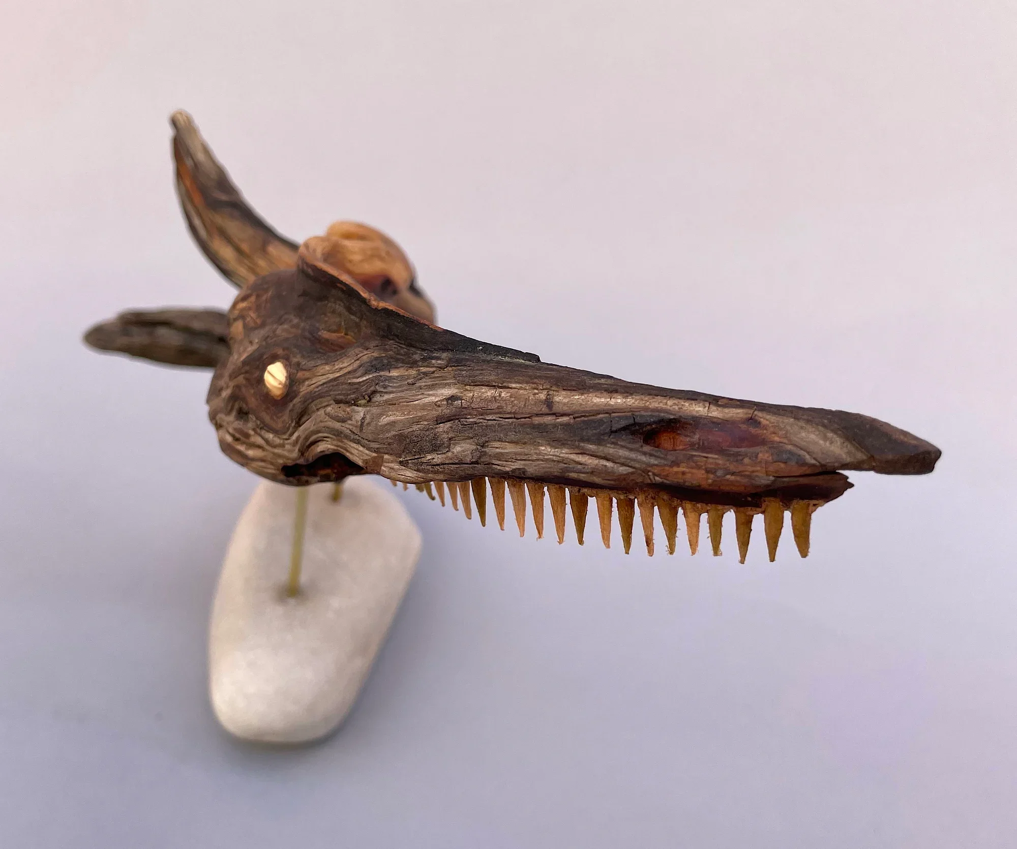 BARRACUDA
