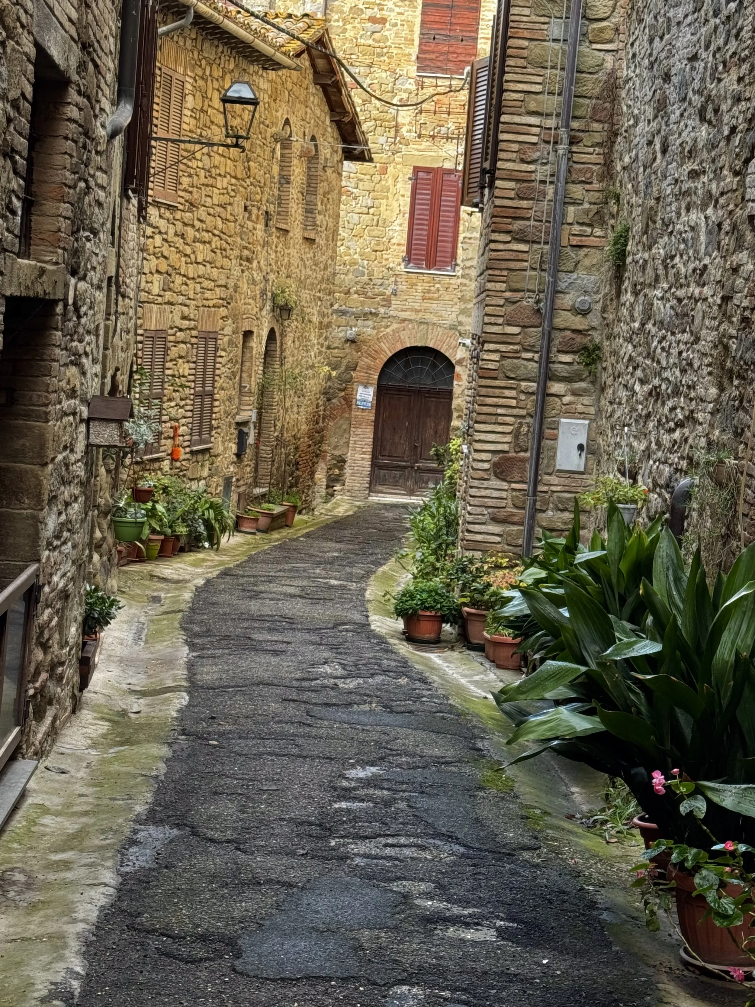 A narrow cobblestone alleyway lined with potted plants and old stone buildings with wooden shutters and a wooden door at the end.