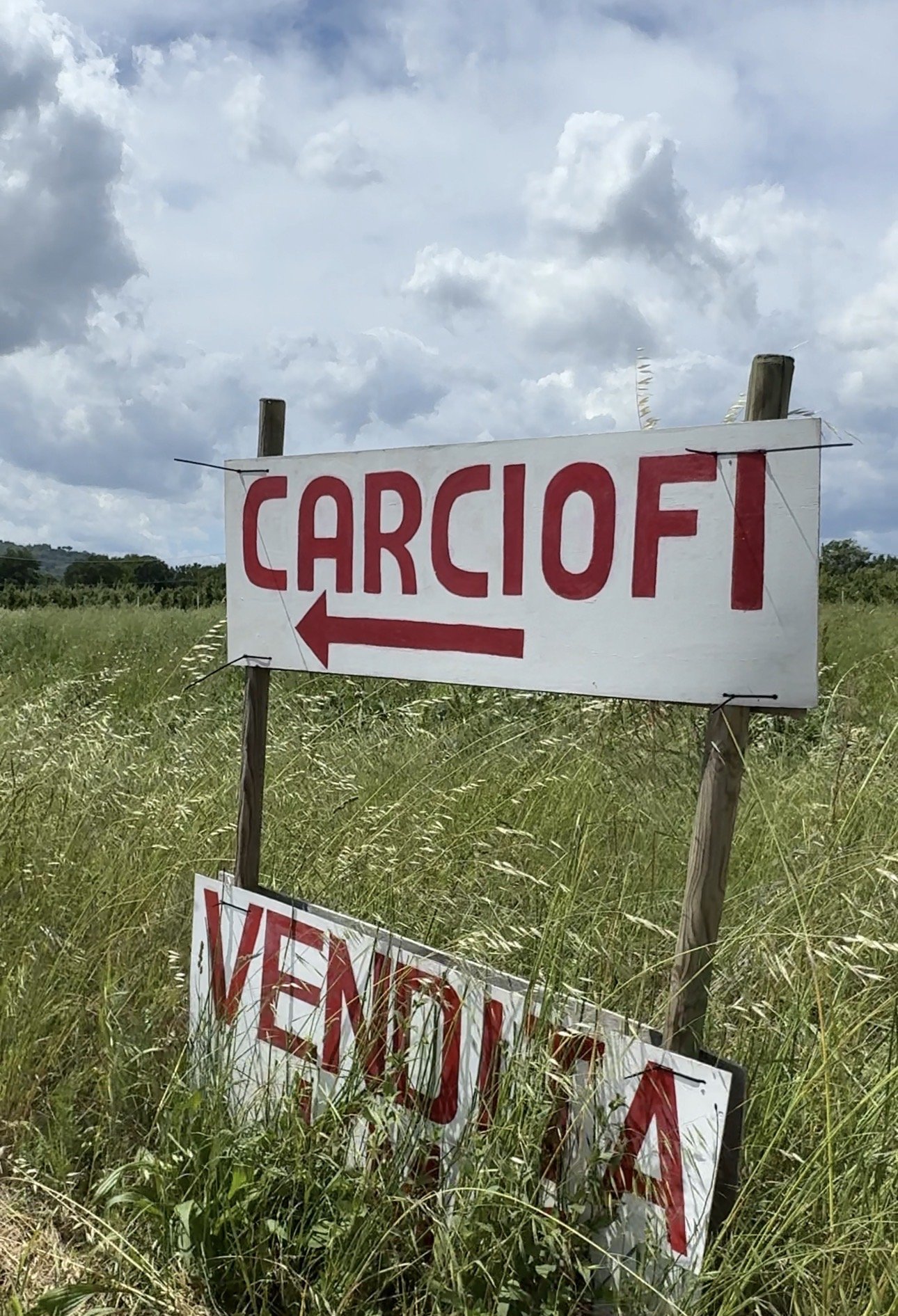 Carciofo sign
Roadside sign for fresh artichokes in the Umbrian countryside, celebrating local farms and seasonal produce.