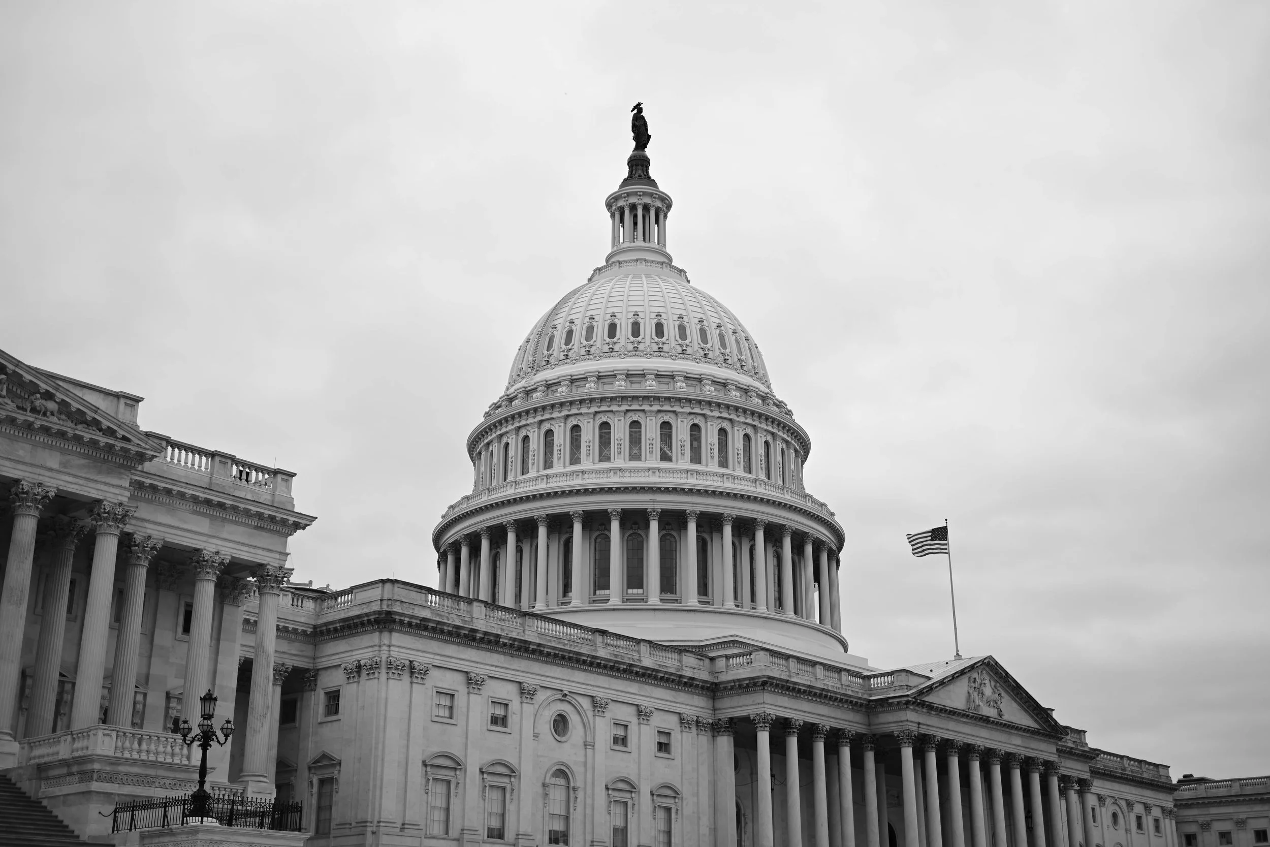 DSC_0422.jpg