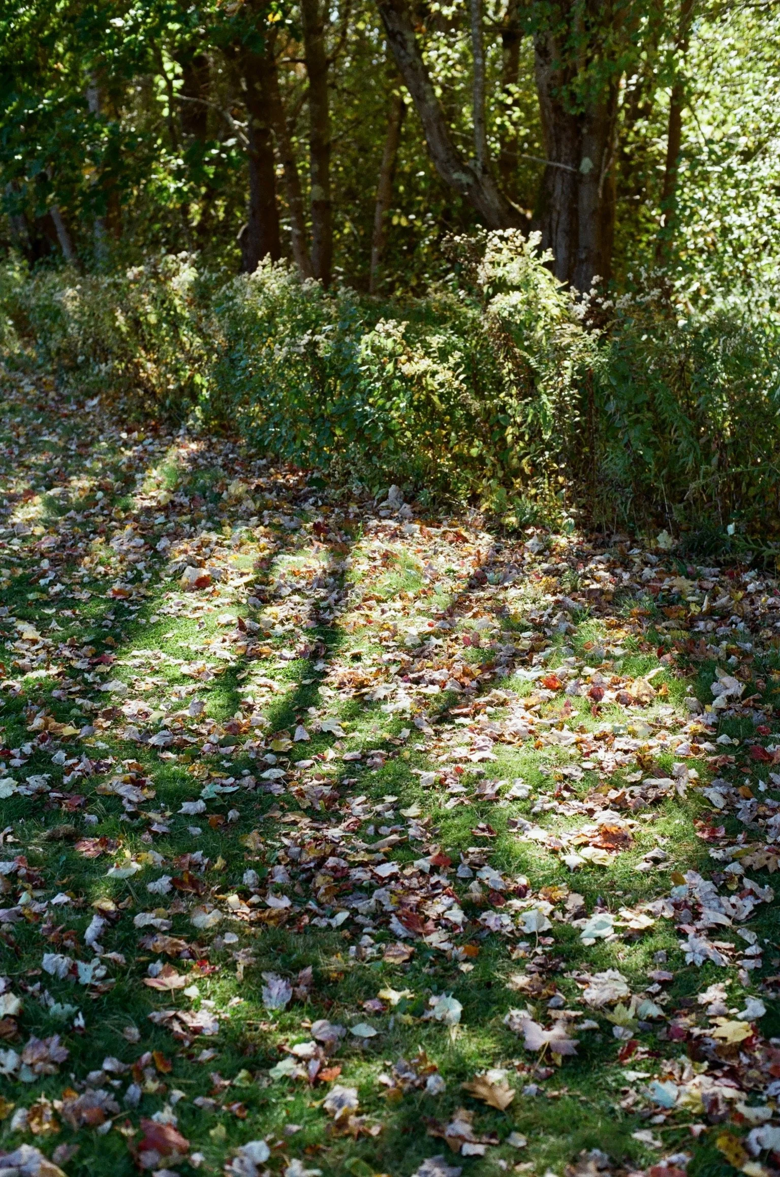 241020000364290030.jpg