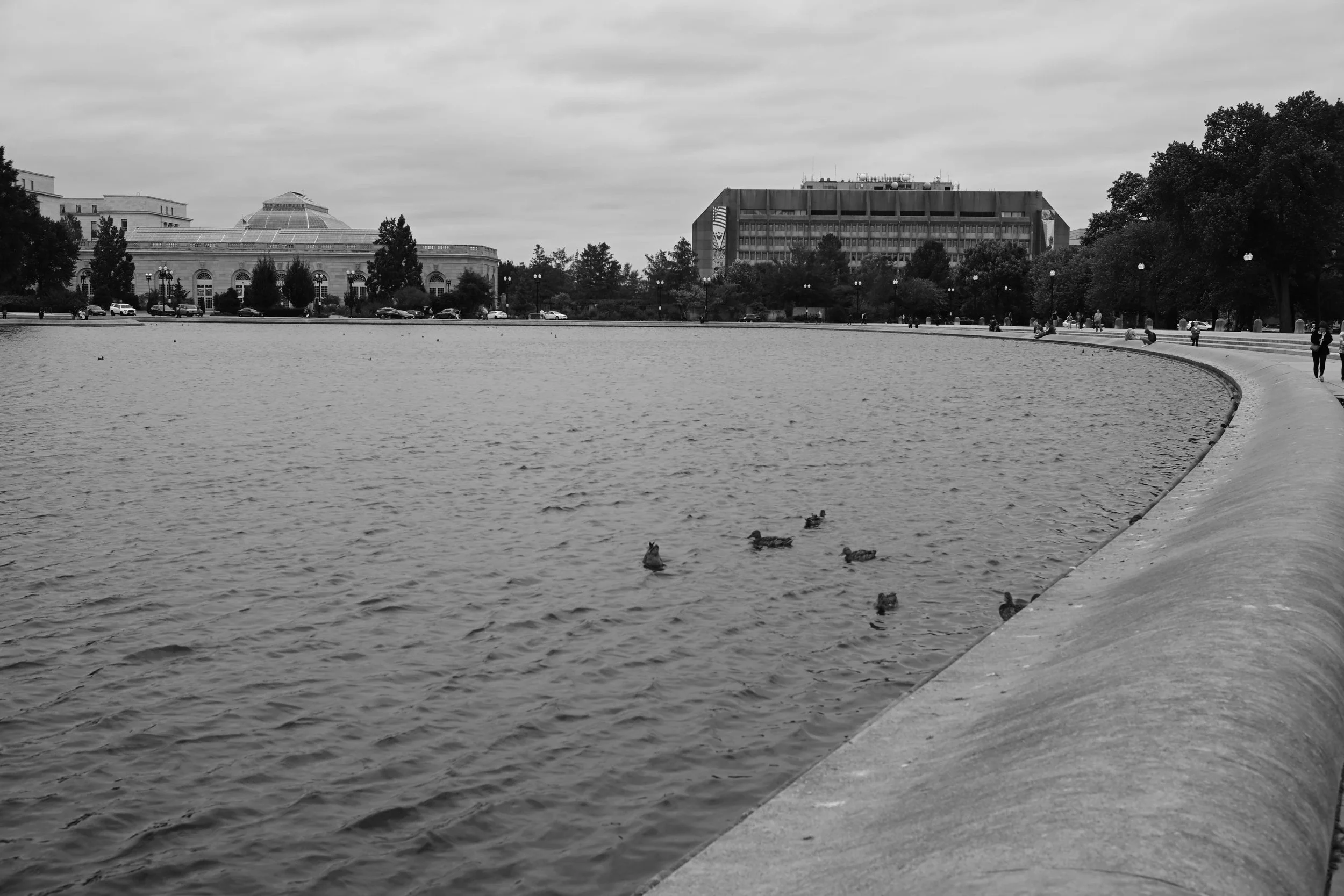 DSC_0447.jpg