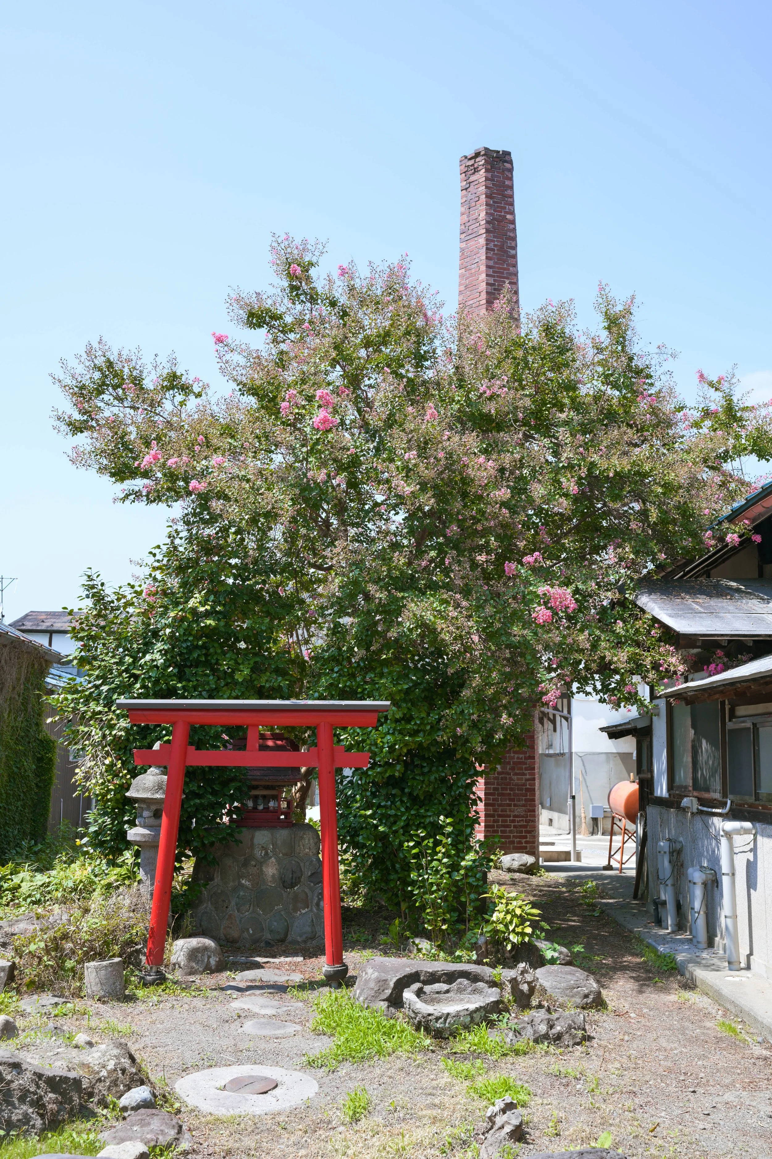 DSC_4080.jpg