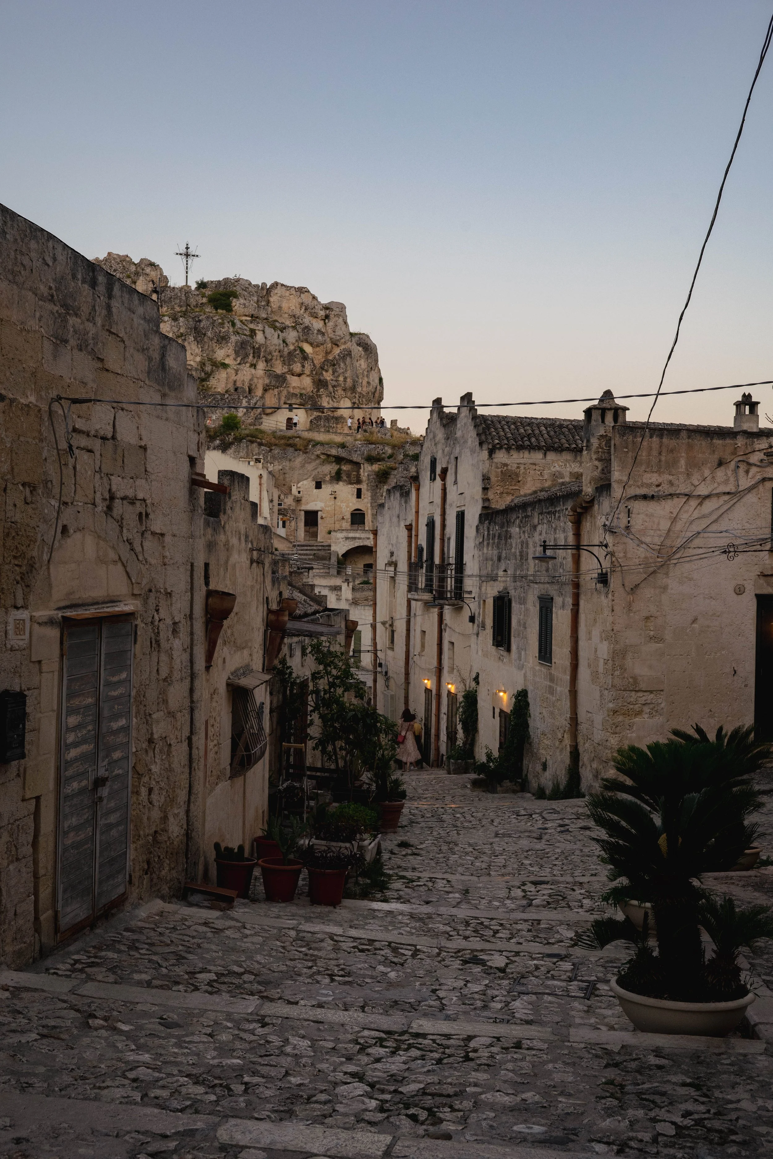 DSC_3547.jpg