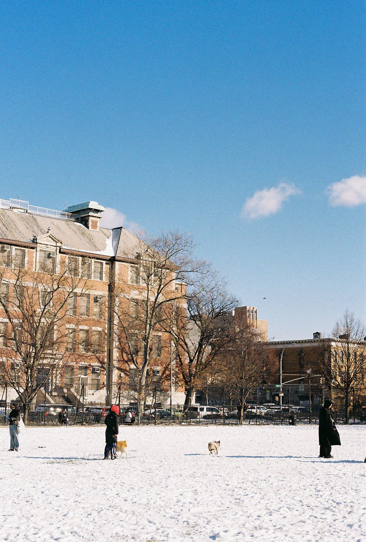 0103213_0009.jpg