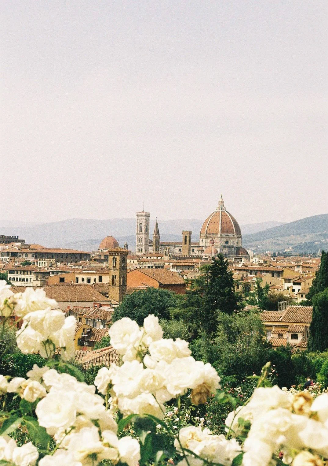 firenze bella.jpg