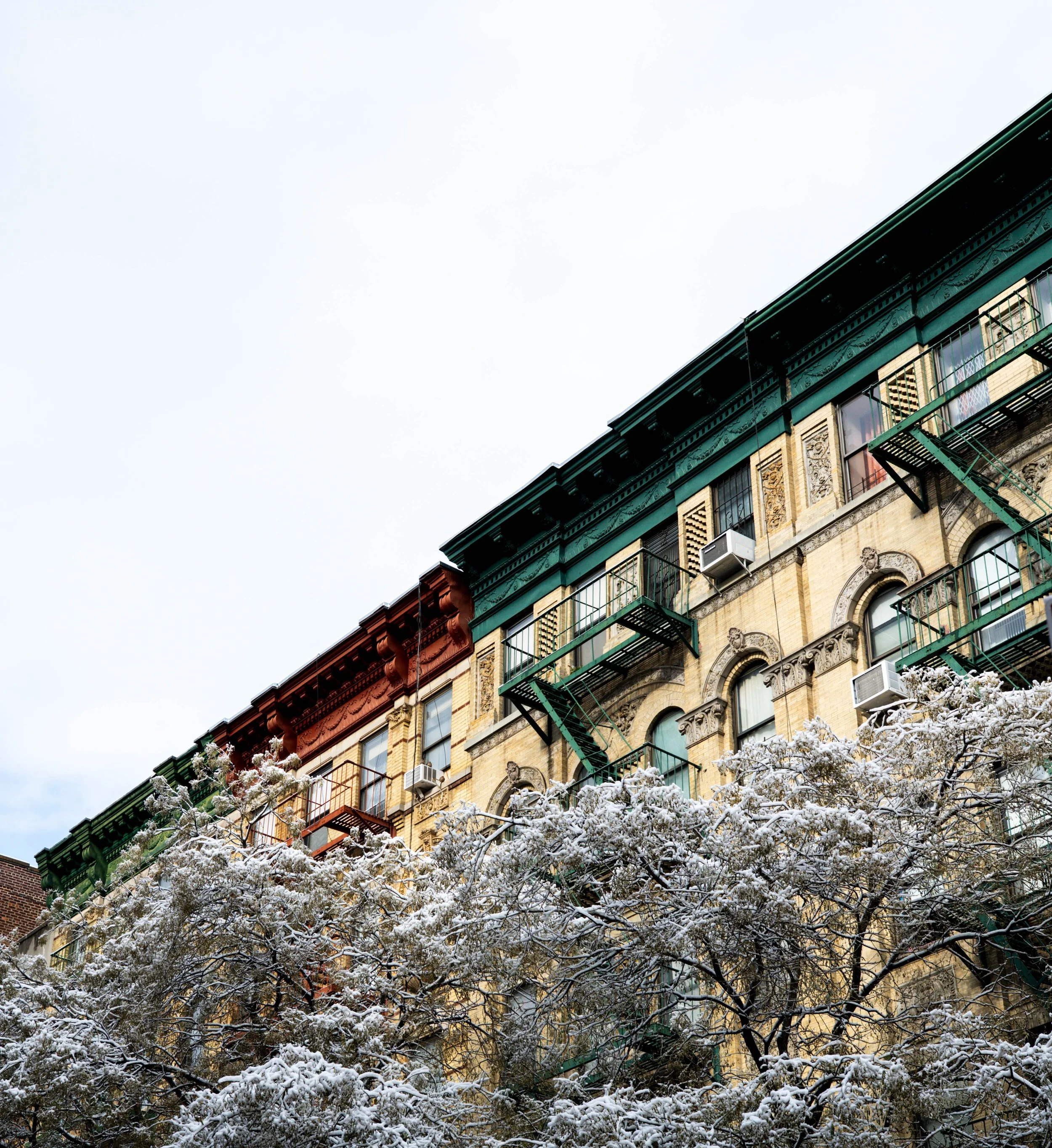 DSC_2216-3.jpg