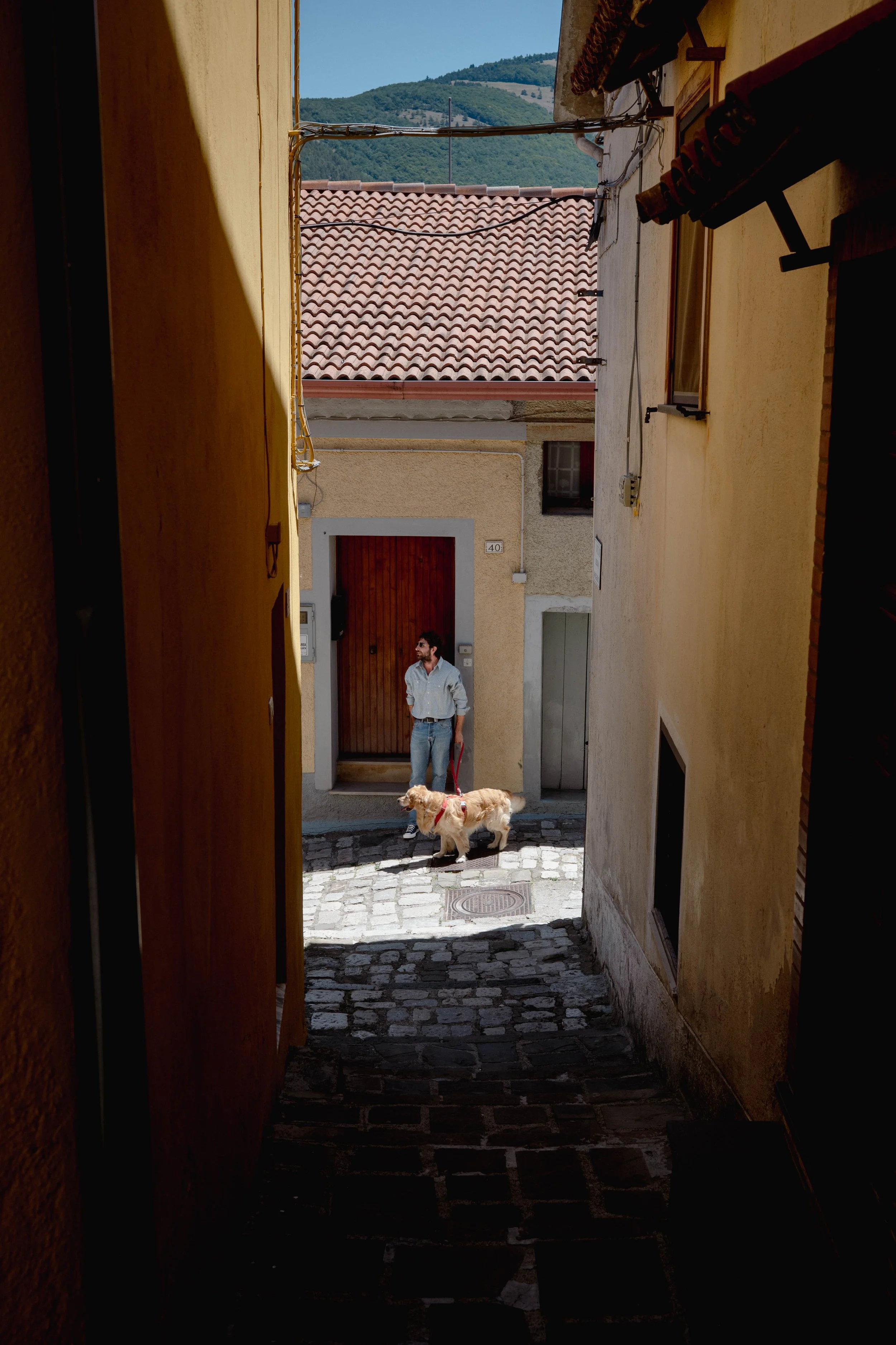 DSC_3393.jpg