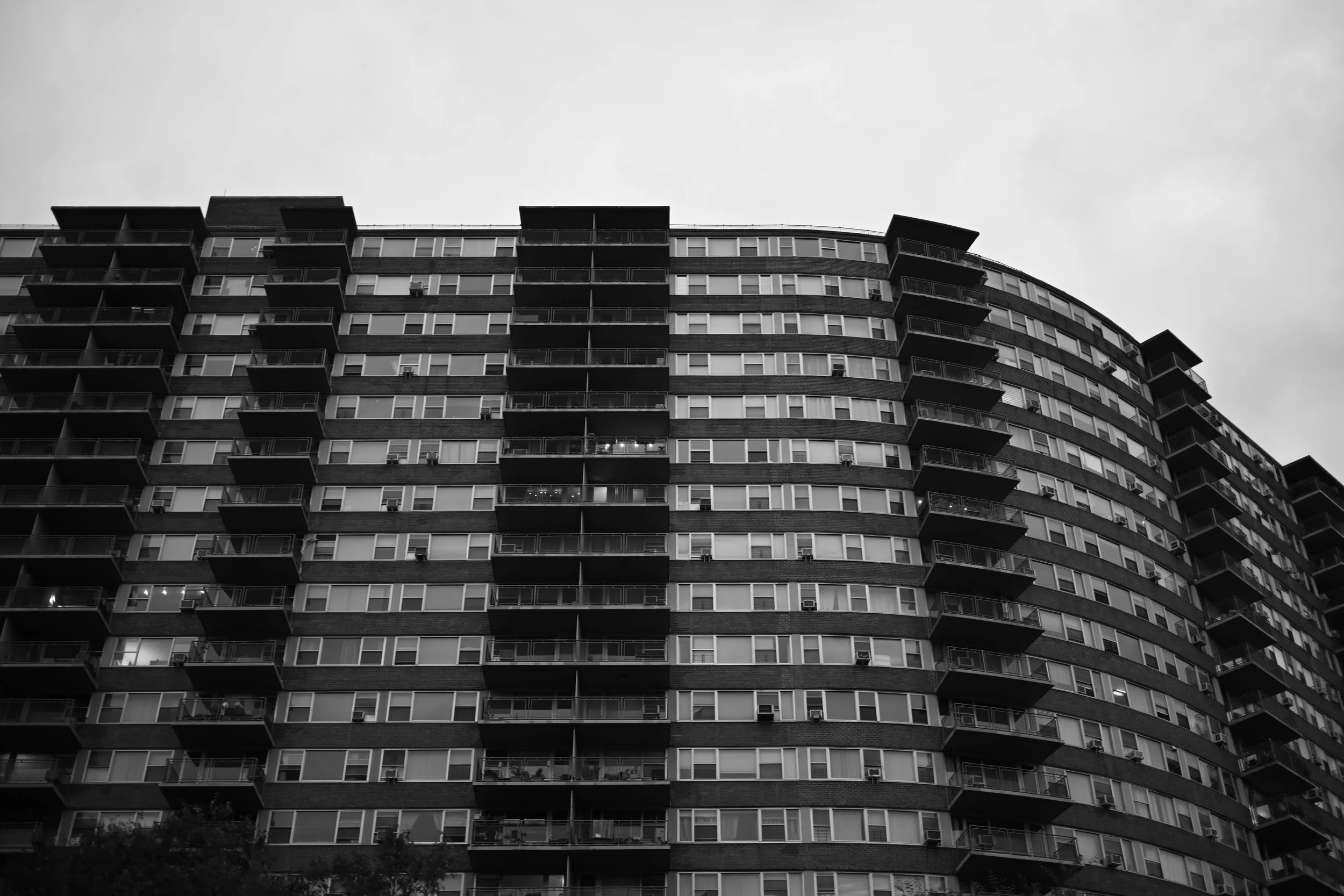 DSC_0602.jpg