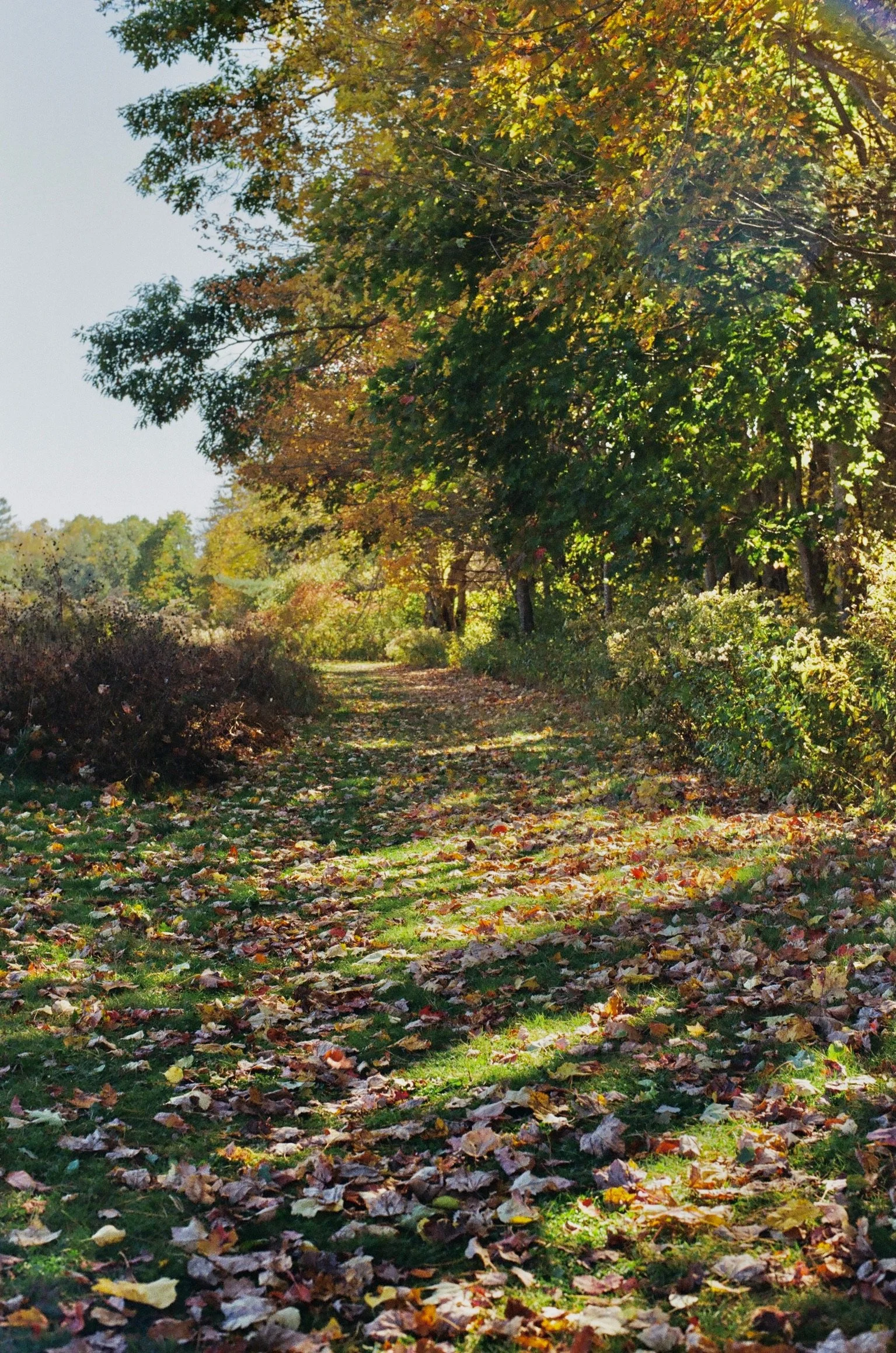 241020000364290031.jpg