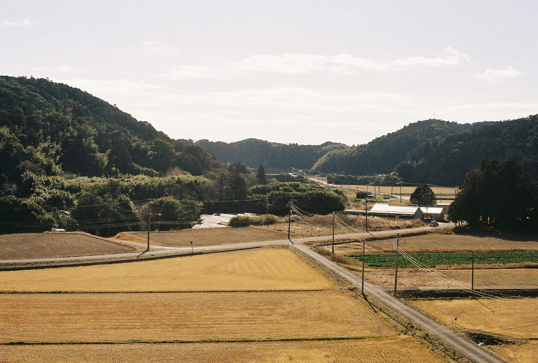 0103213_0063.jpg