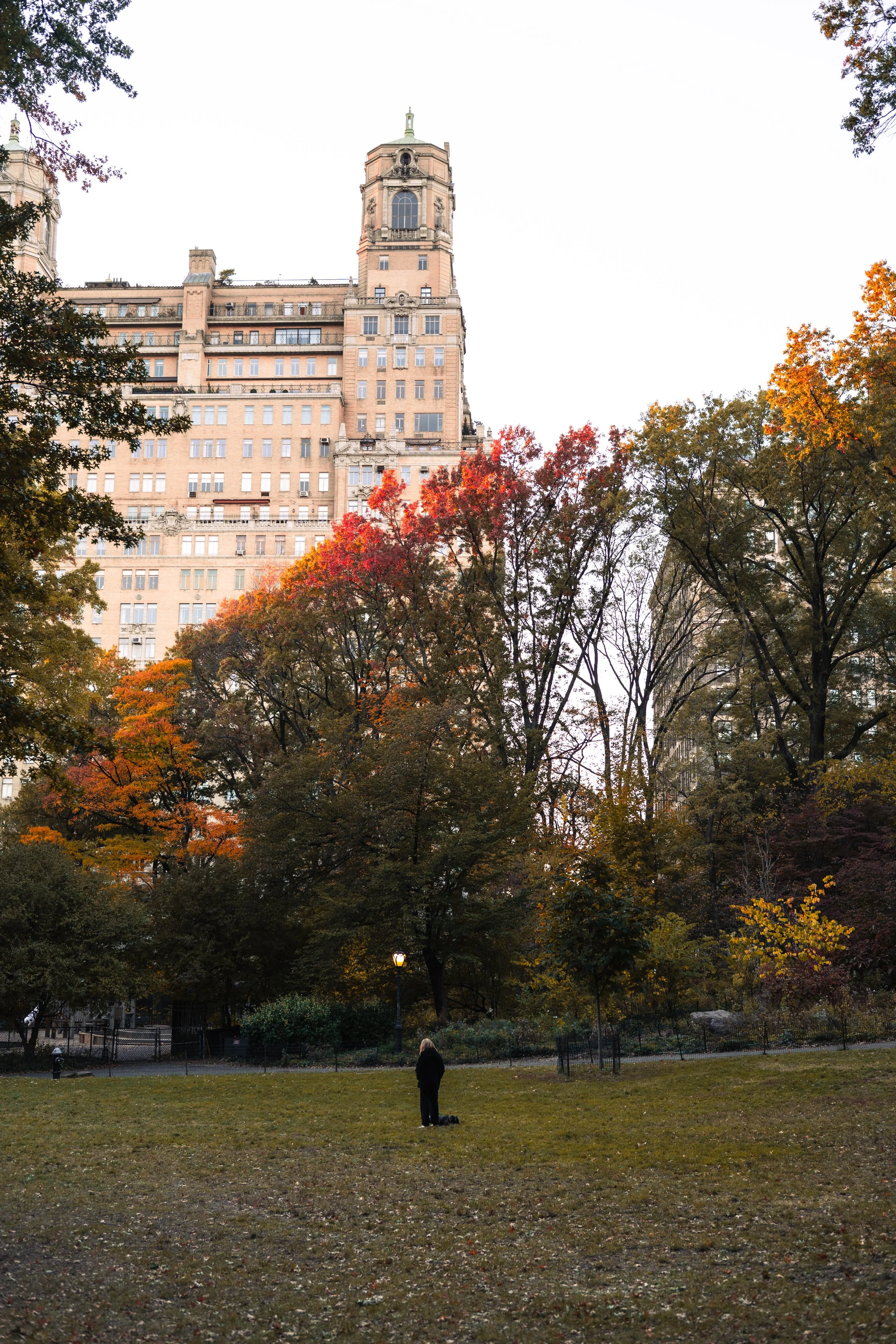 DSC_0709.jpg