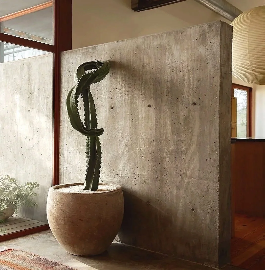 Sculptural cactus specimen in a curated vessel within an architectural interior.