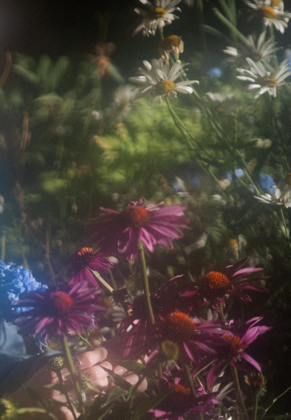 Relationship Reading