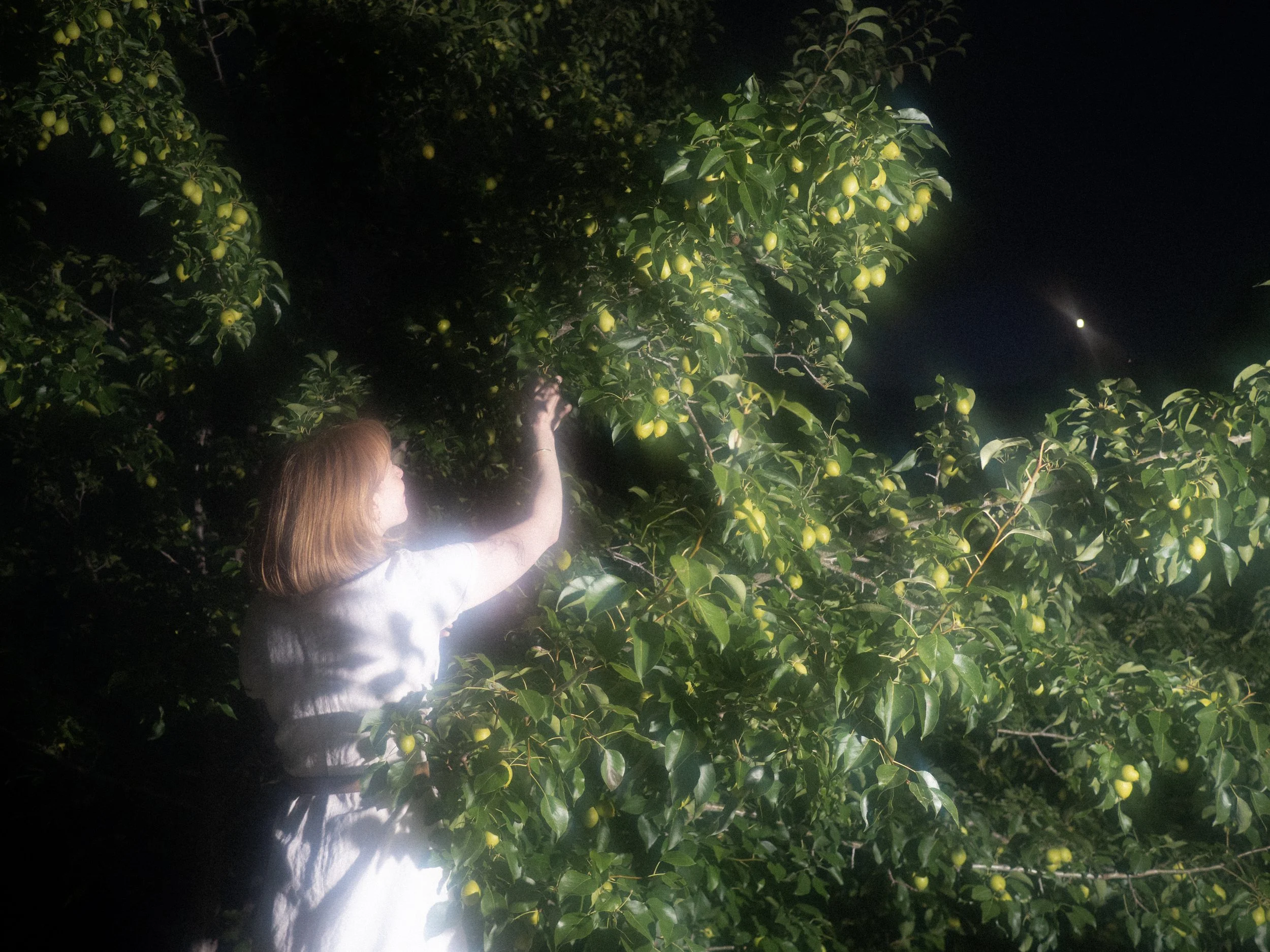 Initial Natal Chart Consultation