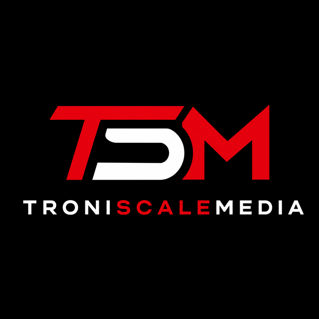 Troni Scale Media | Paid Ads That Turn Clicks Into Clients