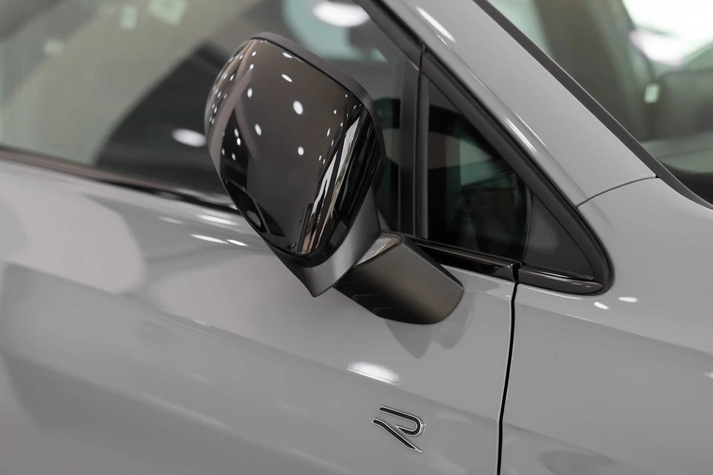 Close-up of a silver car door showing the side mirror, a window, and part of the door handle with a small decorative emblem.