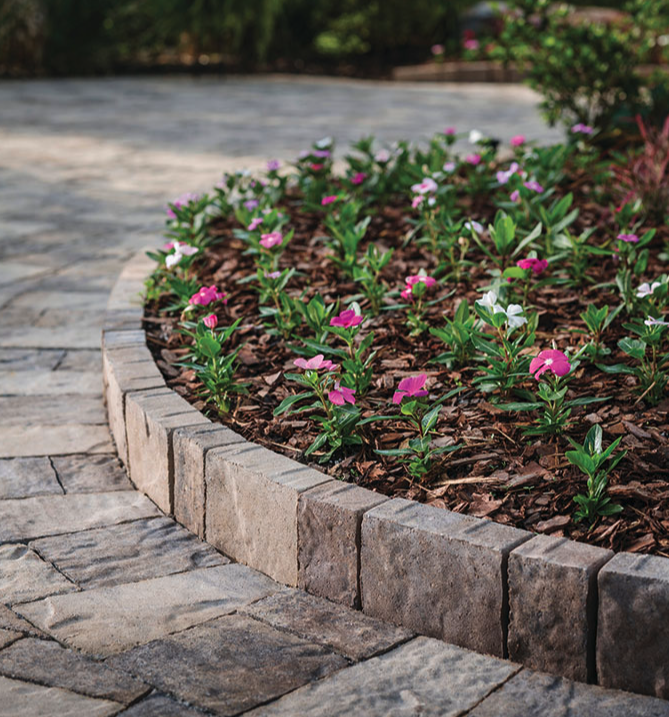 Flowers growing in a landscaped garden bed with brick edging, beside a stone pathway.
