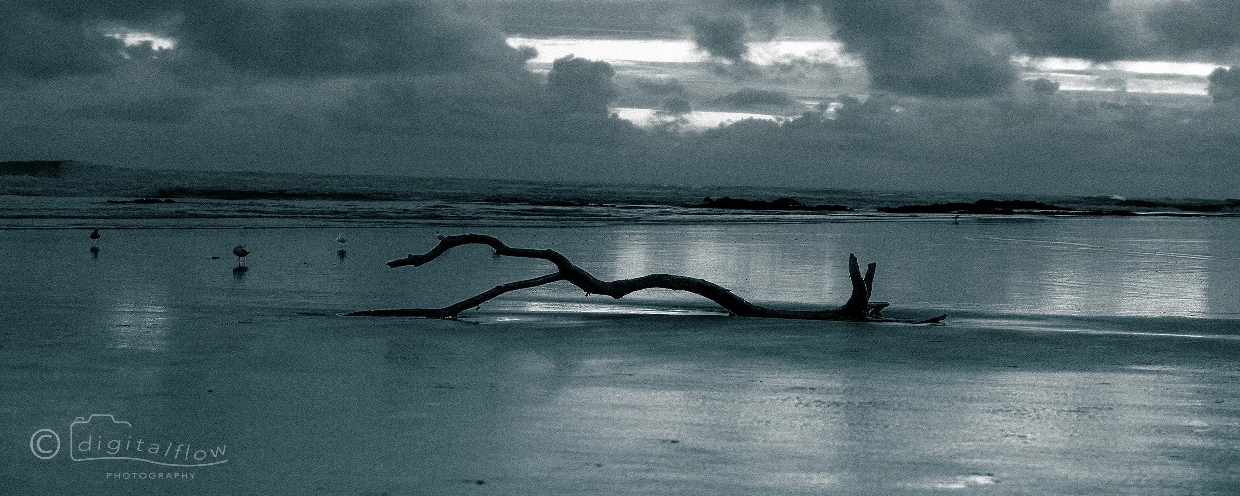Grey Day
