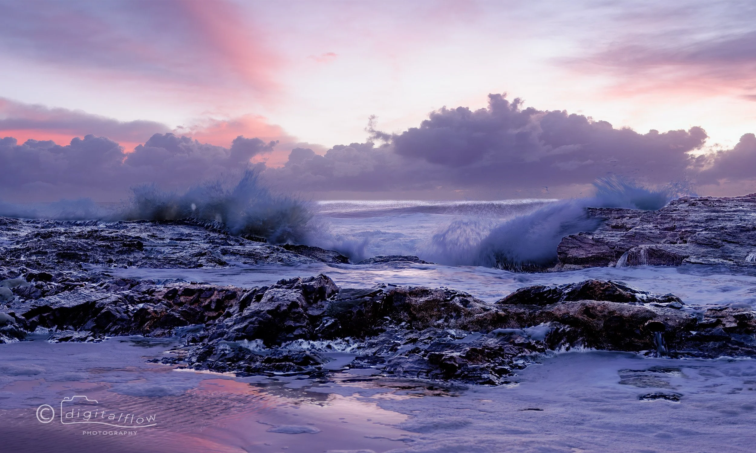Purple Fury