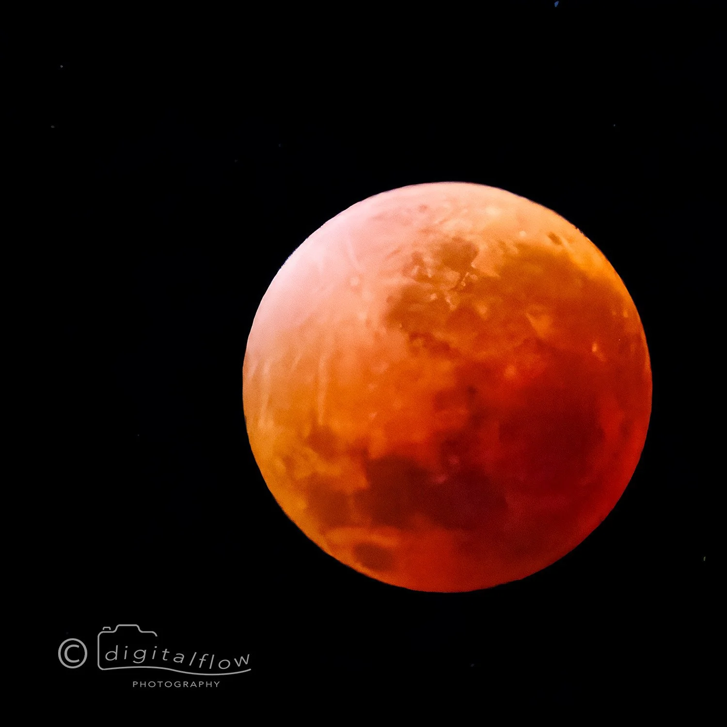 Blood Moon