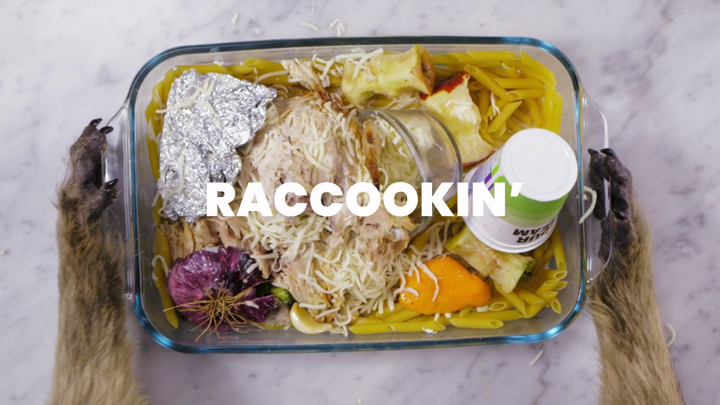 raccokin2.jpg