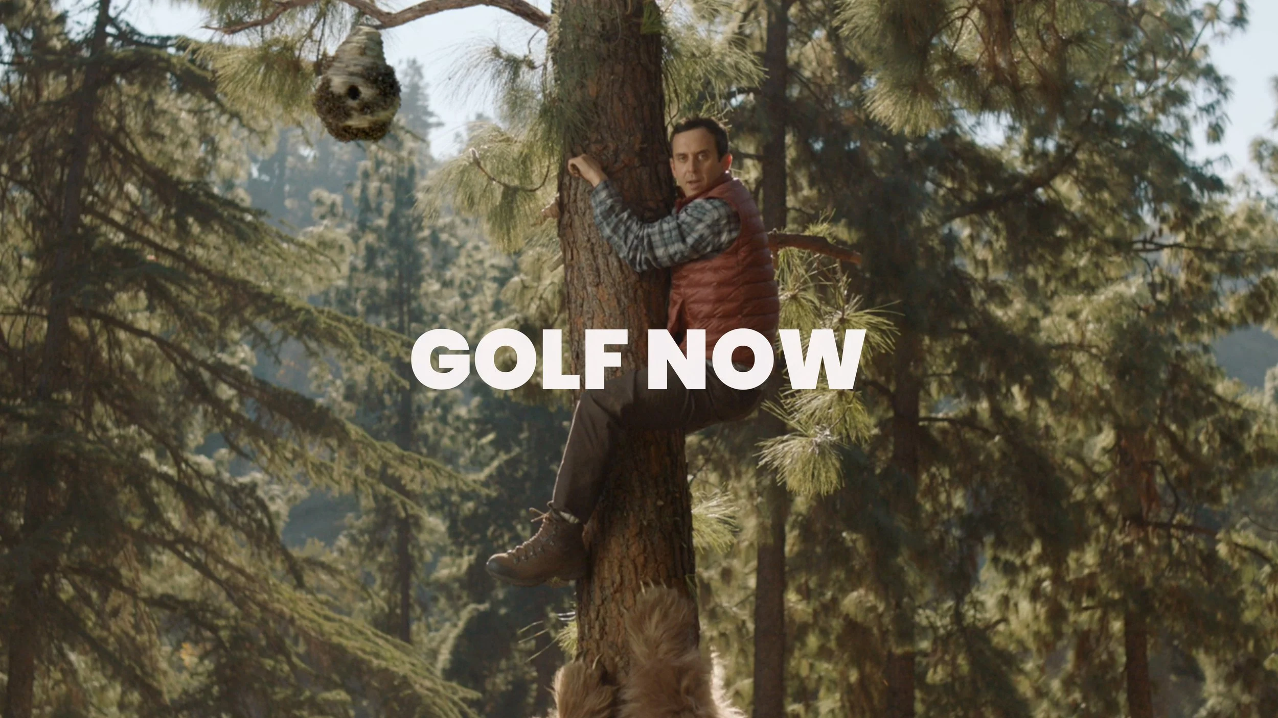 Glof now tree.jpg