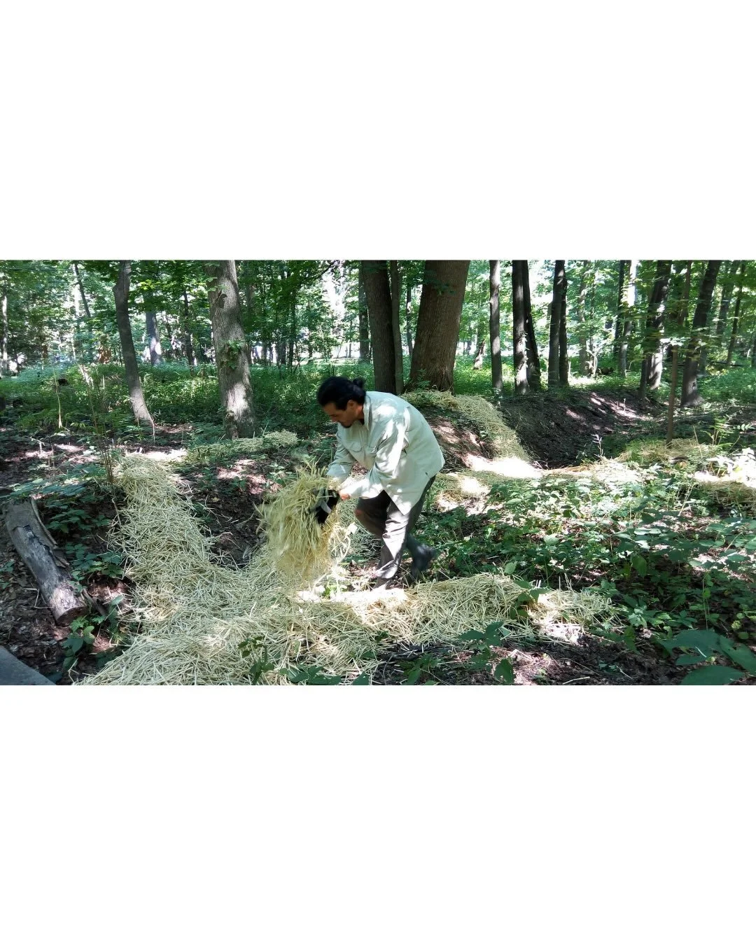 &lsquo;Connections&rsquo;
2016
Chapel of Sacred Mirrors, New York

Created on the property of Alex Grey, one of my artistic and spiritual inspirations. After learning about the underground fungal web that pervades and unites the trees of the forest, 