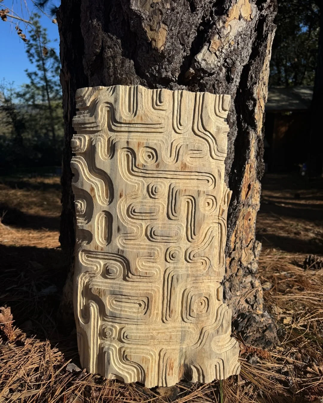 Coordinated Chaos 13

Ancient Grain &ndash; Salvaged Remnants Series
Scrap mill wood | 2024&ndash;2026

My latest experiment- multiple depth levels. It&rsquo;s tricky to lay out and trickier to router. But I&rsquo;m digging the result. 

These pieces