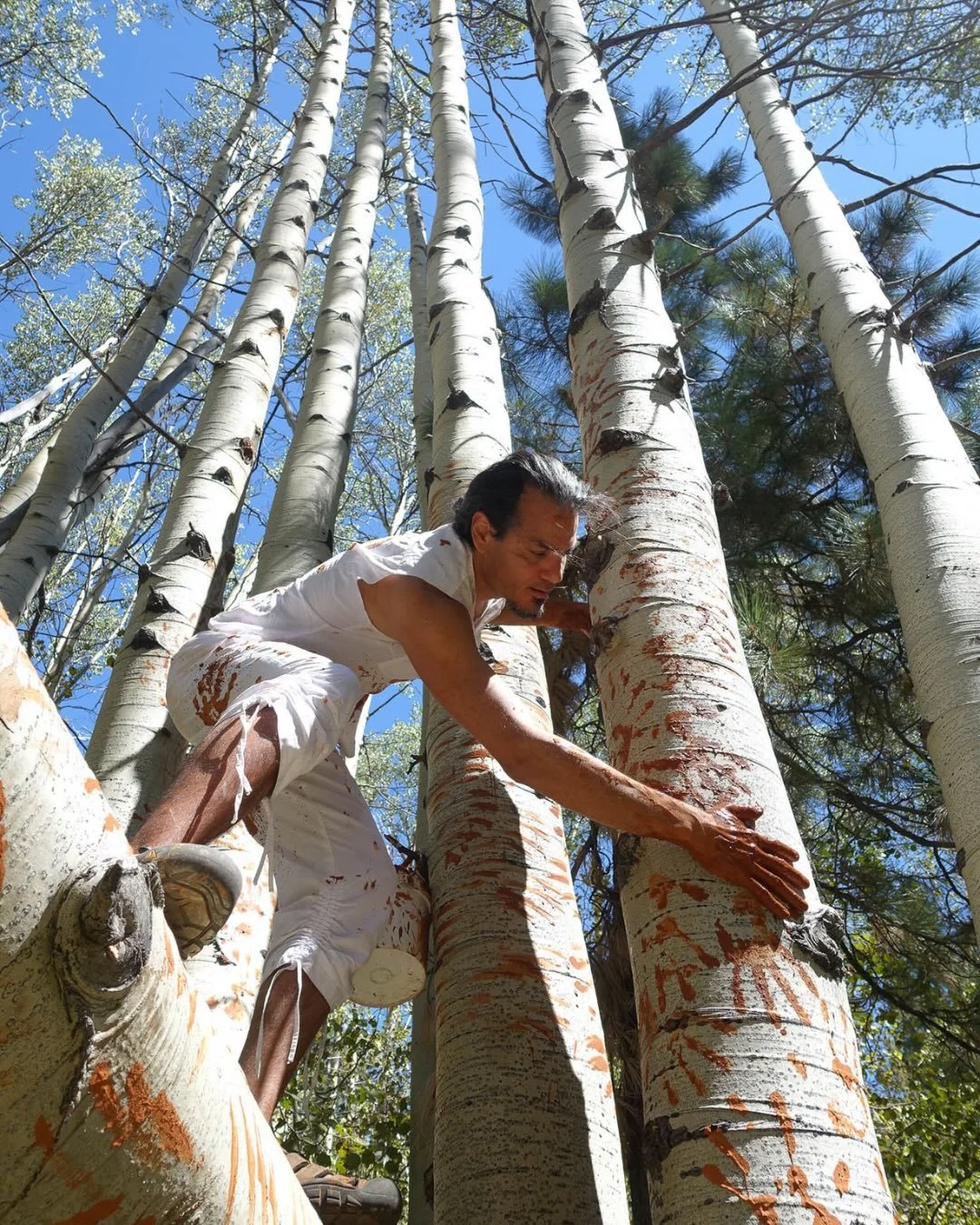 My first time using clay paint within an artwork was for my 2014 contribution to the Trails and Vistas event near Lake Tahoe in which artists and performers create installations and performances along a state park trail. I was stationed in a stand of