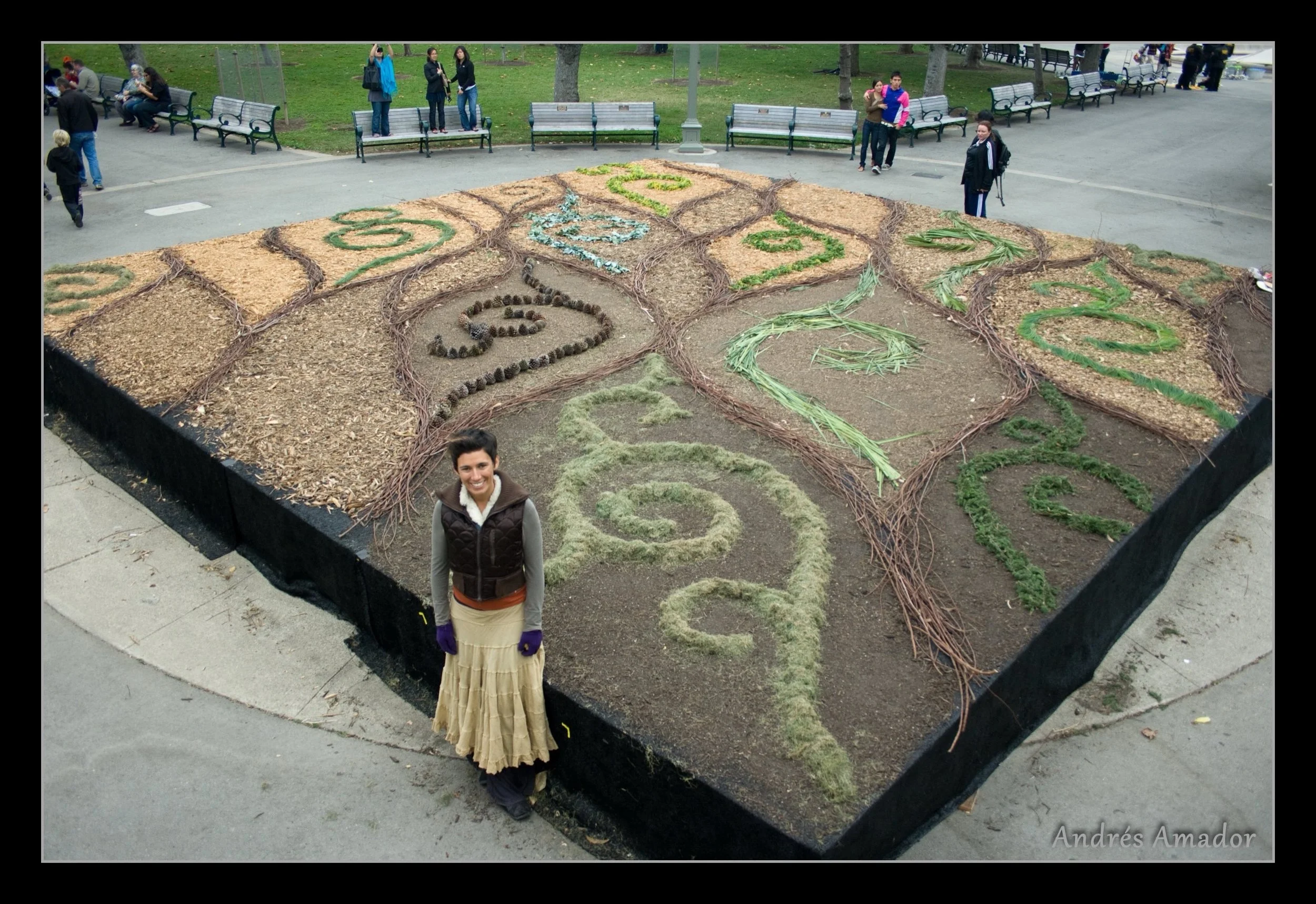 When the California Academy of Sciences reopened after its dramatic redesign, they held a series of celebrations for which I was commissioned to create an artwork that would be placed within one of the fountains at the Music Concourse. I roamed Golde