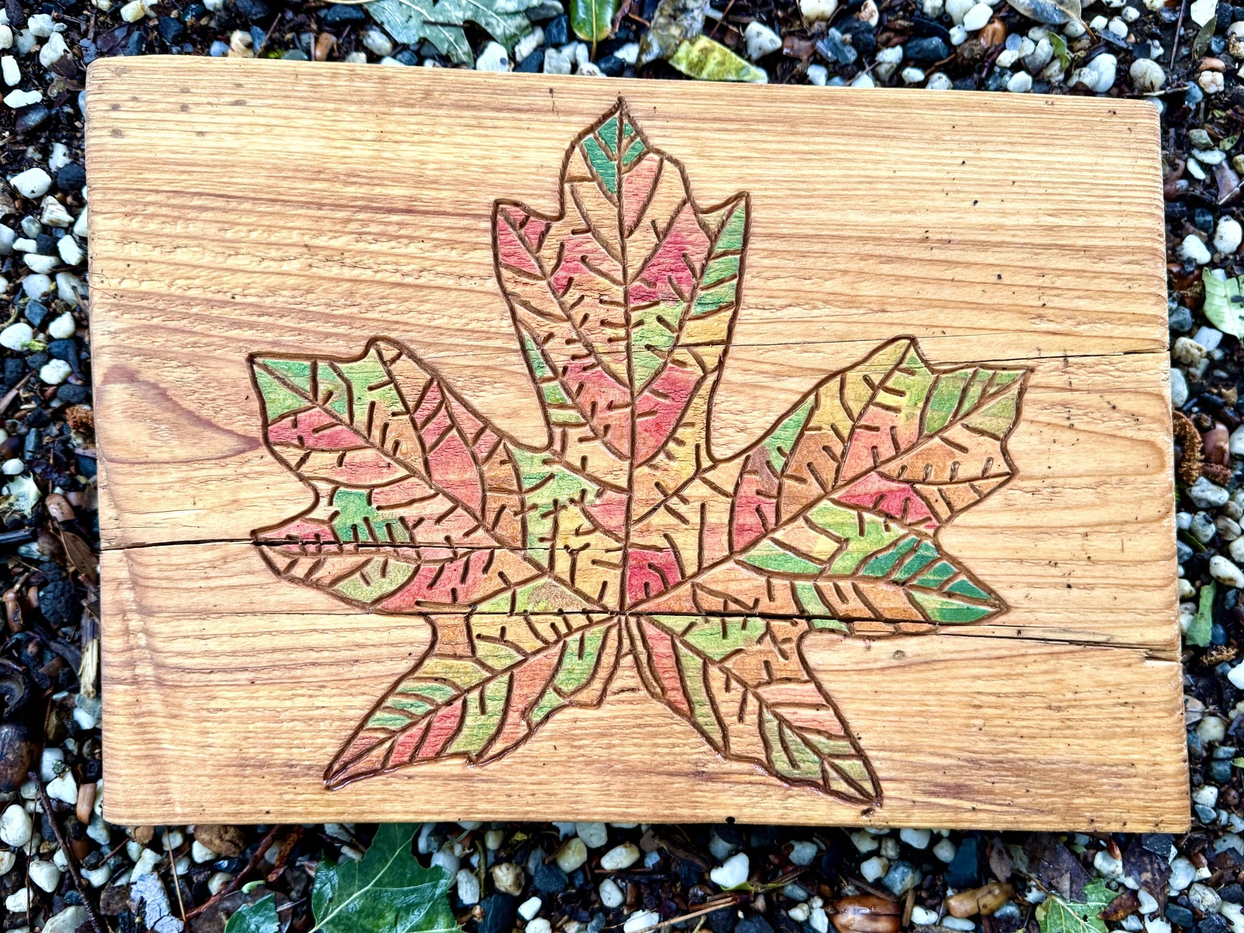 Fall Maple.jpg
