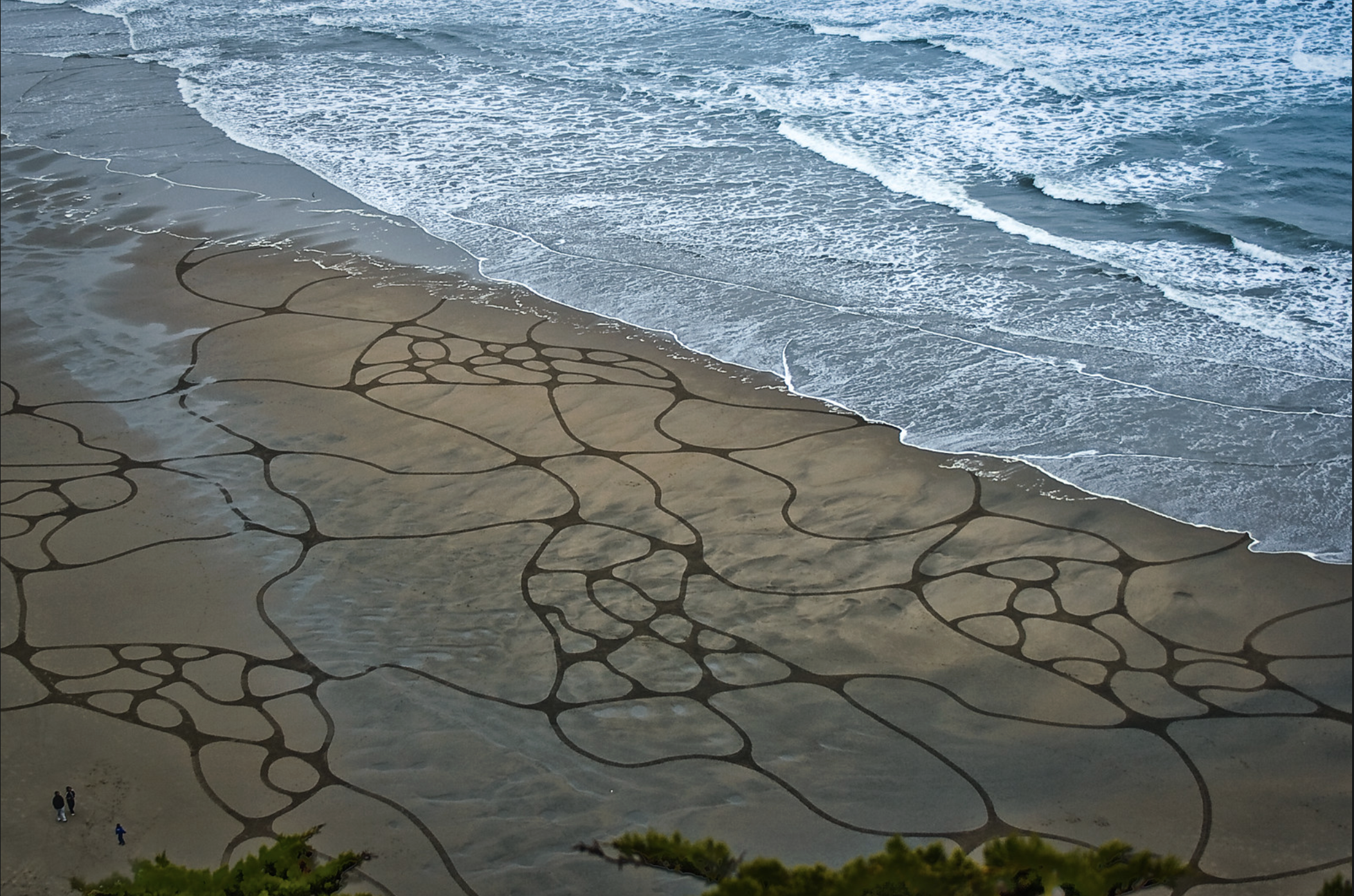 Screenshot 2026-03-12 at 11.21.45 AM.png