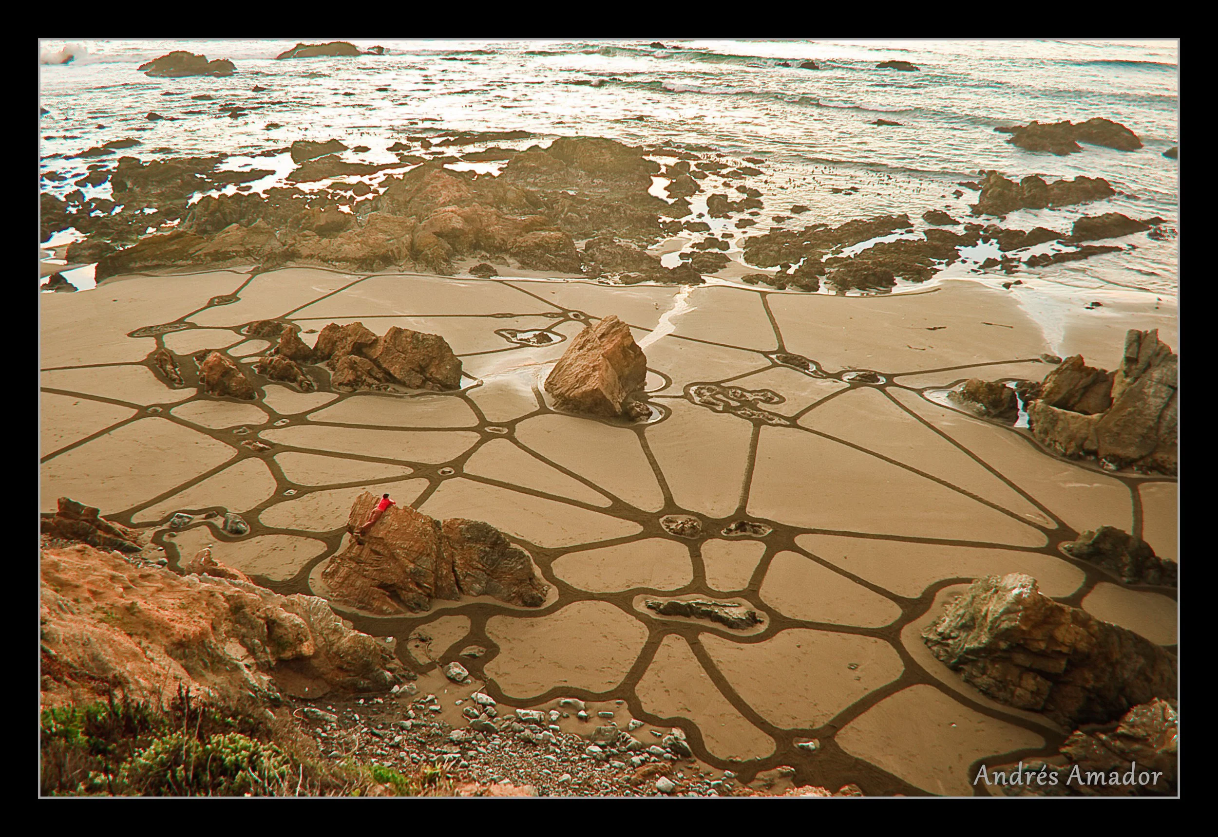 'Connections', 2008. Fort Bragg.