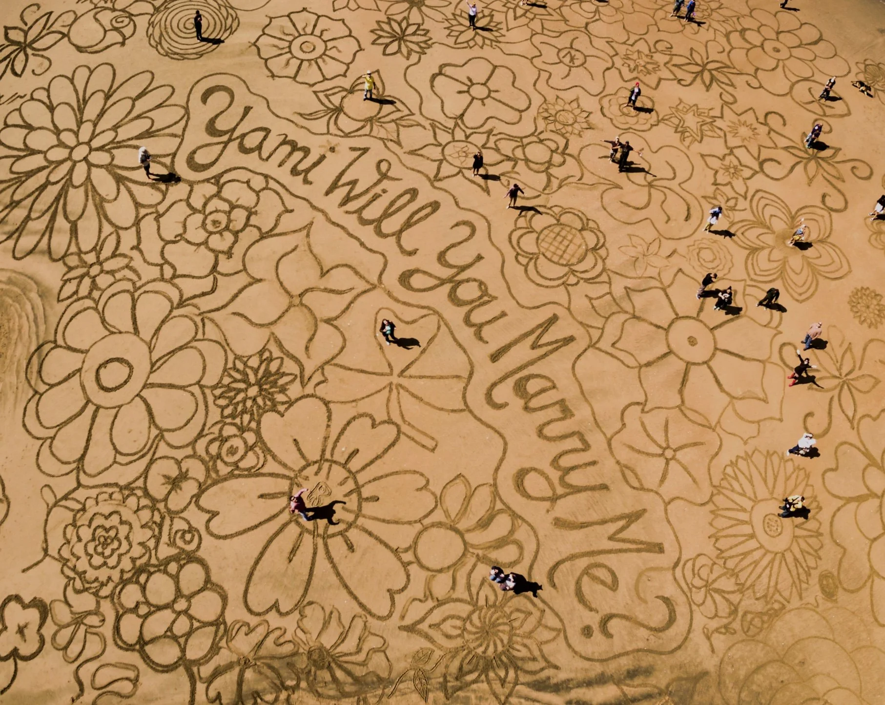 Marriage Proposal Commission, 2015, California