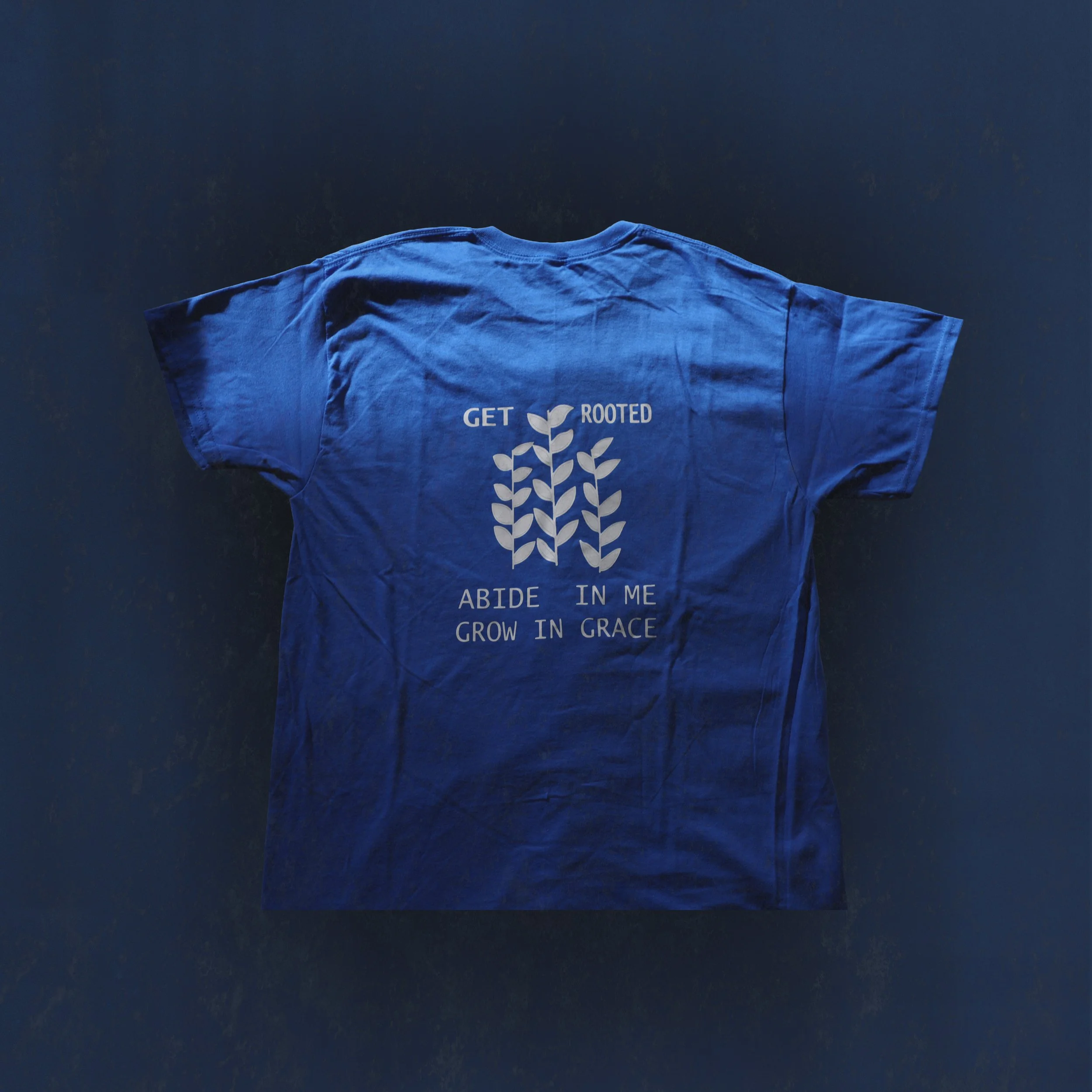 Get Rooted, Abide In Me