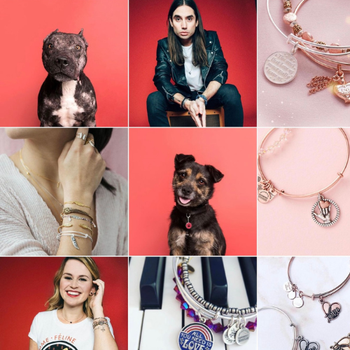 Alex and Ani IG Feed + Valentine's Day Campaign