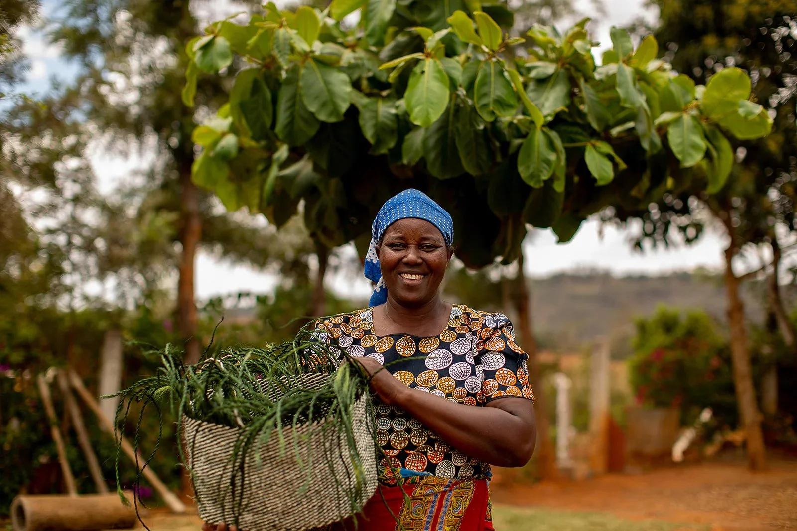 Smiling woman wearing a blue headscarf and colorful patterned dress, standing outdoors in a garden with a large leafy plant or tree behind her, holding a woven basket with green plants.