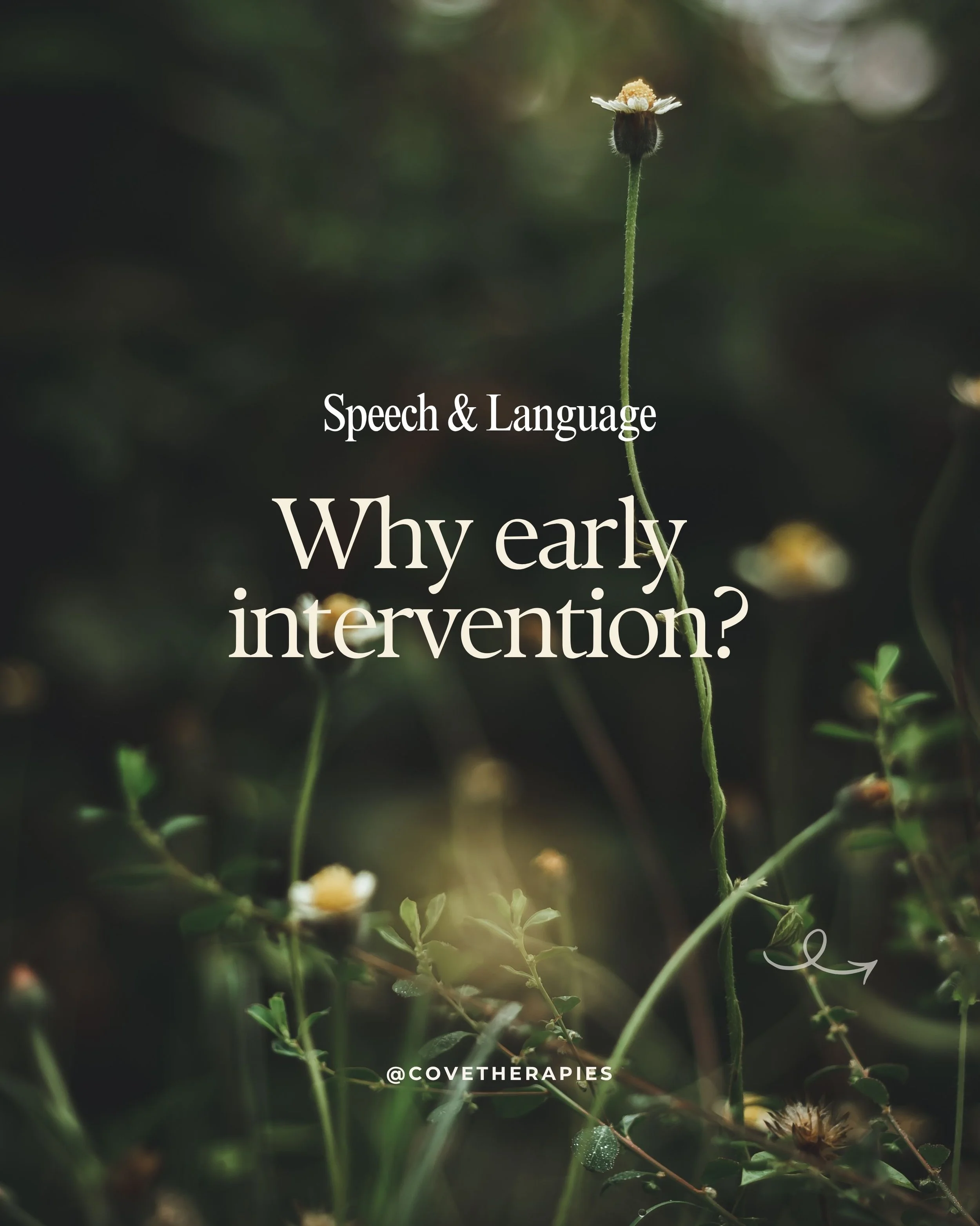 Why Early Intervention?