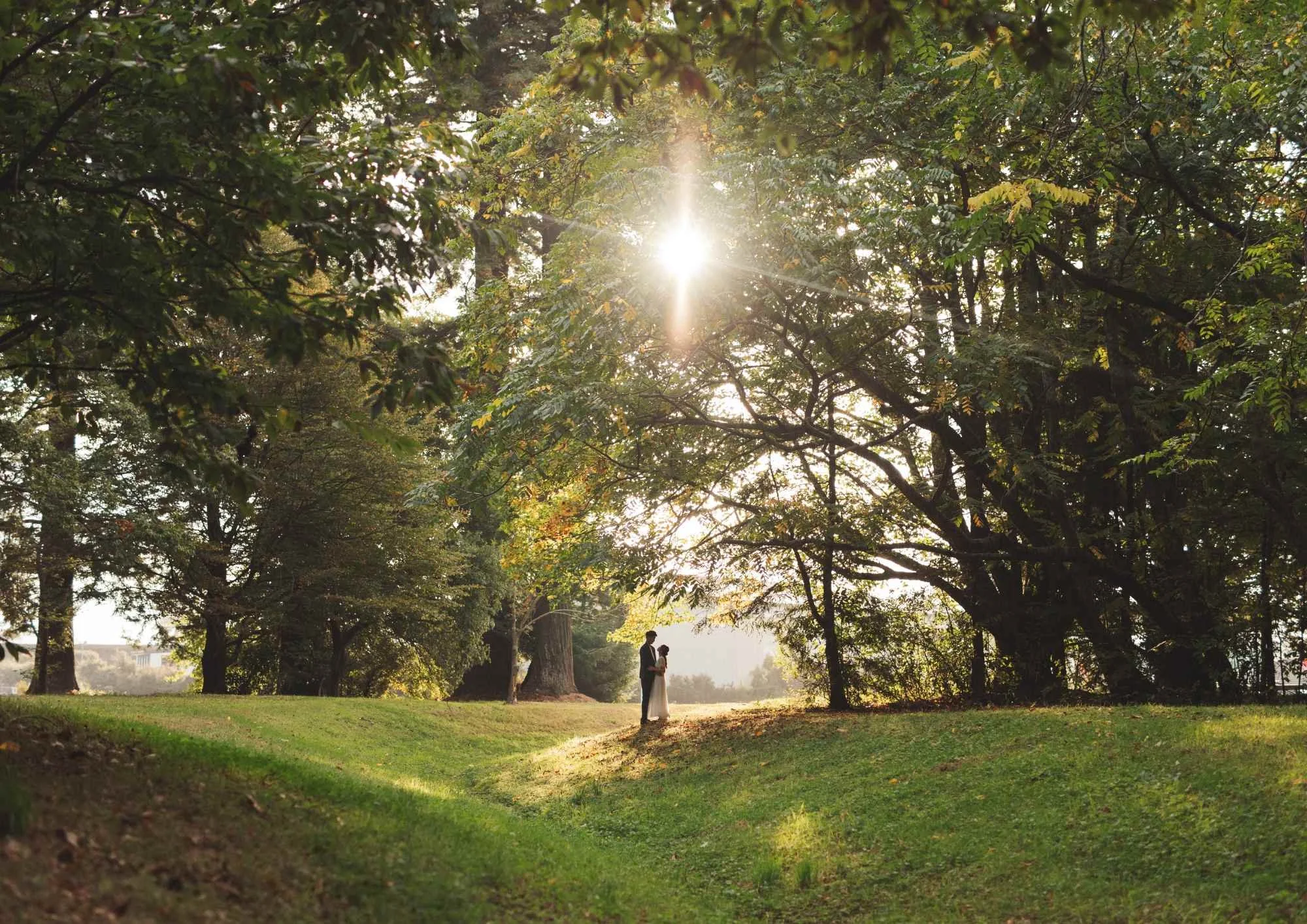 A Guide to Lighting &amp; Location for Rural Family Portraits in New Zealand