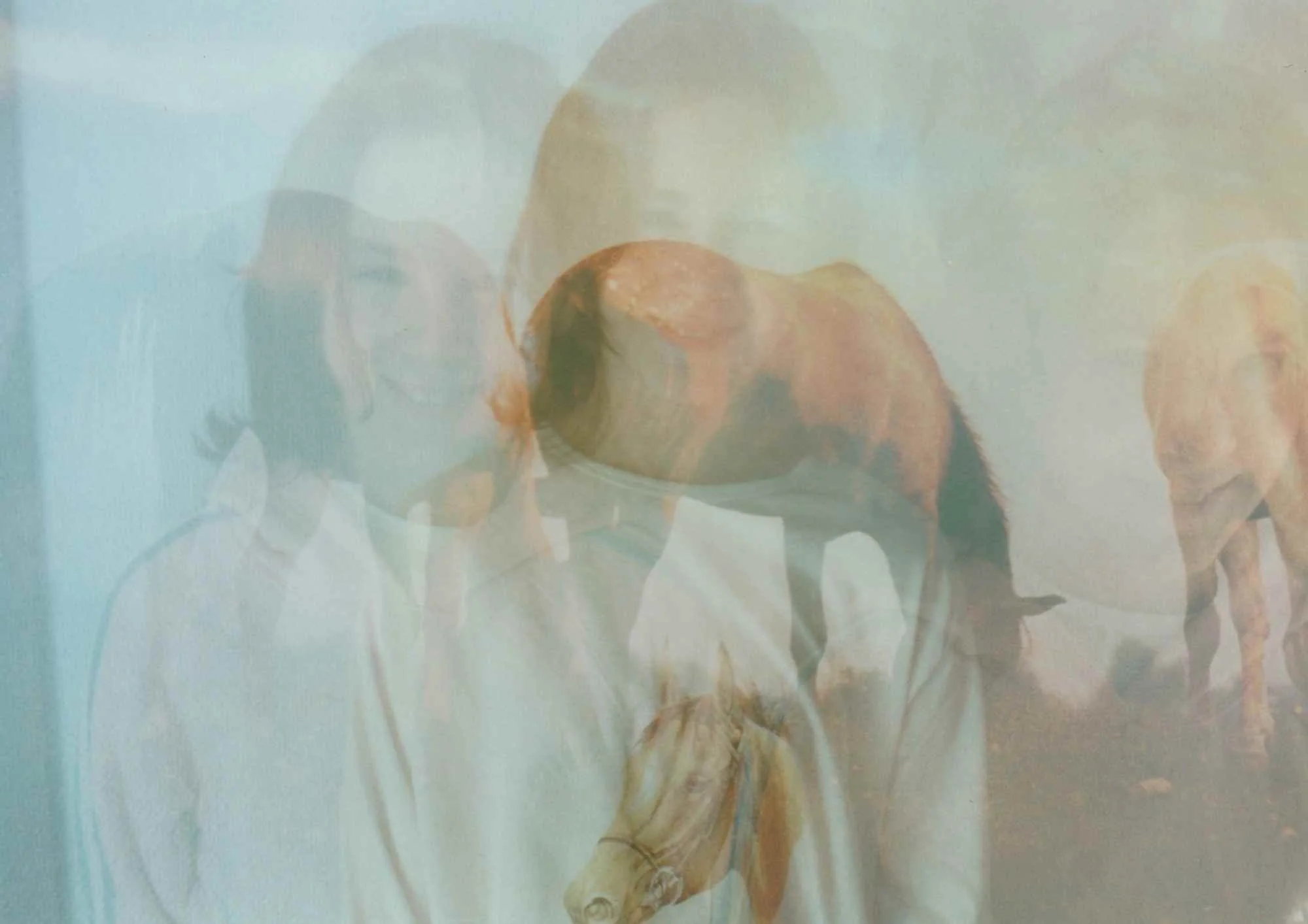 Family photography in the central north island