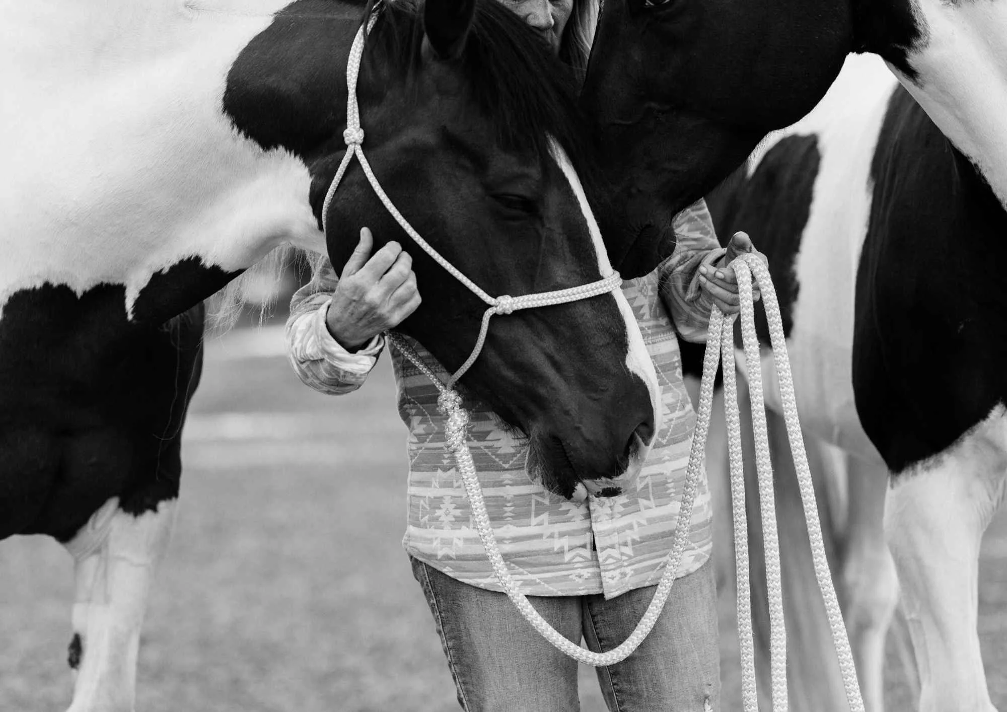 equestrian photographer NZ, Person holding a horse in a black and white photo.