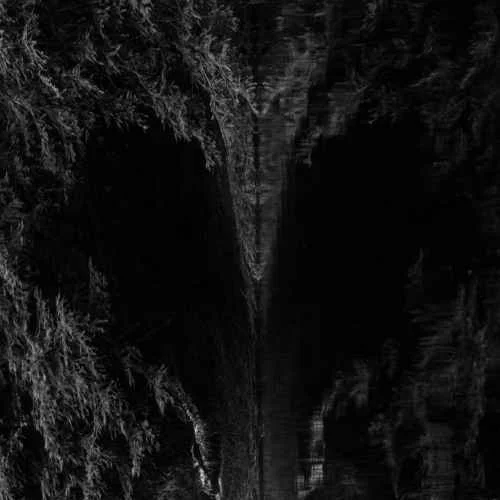 creative-photography-nz