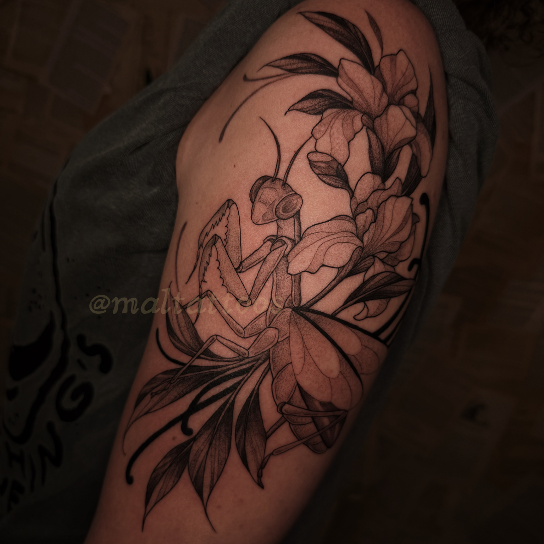 maltattoos mal miyares praying mantis iris flower illustrative black and grey tattoo fineline