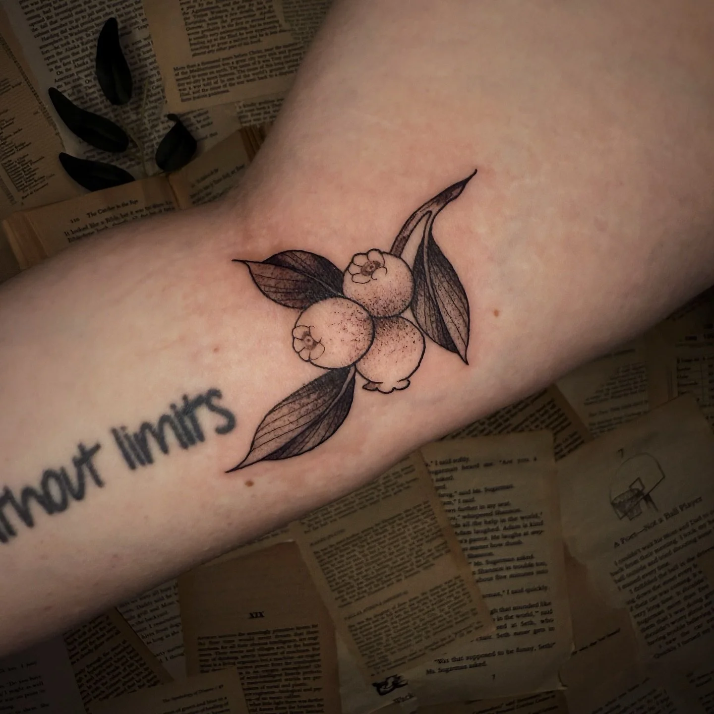 Blueberries from my flash!

Made at @honeybirdtattoo 

My books are open for the rest of 2025(:
.
.
.
.
.
.
.
.
.
.
.
.
.
#tattooflash #tattooshop #tattooartist #stpetersburg #stpetetattoos #clearwater #clearwaterflorida #dunedin #dunedinflorida #flo