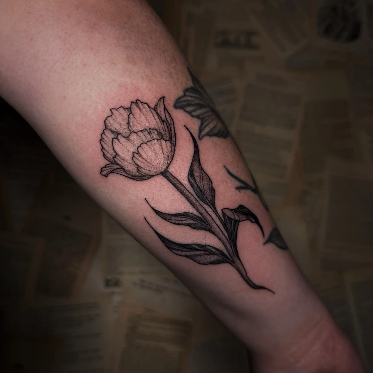 From a little bit ago! Y&rsquo;all know I love doing flowers 🫶

My books are open for the rest of 2025!
Made at @honeybirdtattoo 
.
.
.
.
.
.
.
.
.
.
.
.
.
#tattooflash #tattooshop #tattooartist #stpetersburg #stpetetattoos #clearwater #clearwaterfl