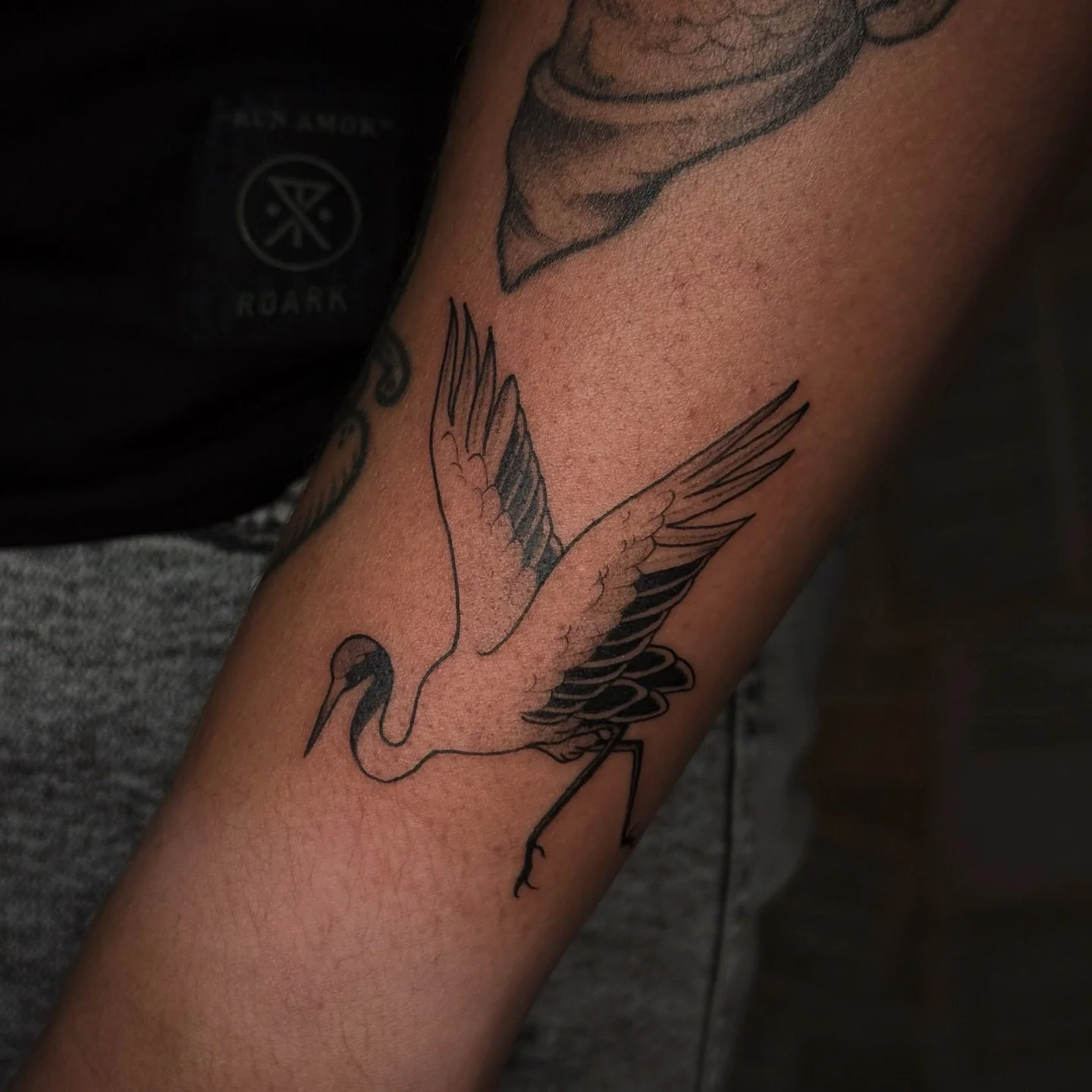 a swooping crane 

made at @honeybirdtattoo 

my books are open for the rest of 2025!

🖤
.
.
.
.
.
.
.
.
.
.
.
.
.
#tattooflash #tattooshop #tattooartist #stpetersburg #stpetetattoos #clearwater #clearwaterflorida #dunedin #dunedinflorida #floridata