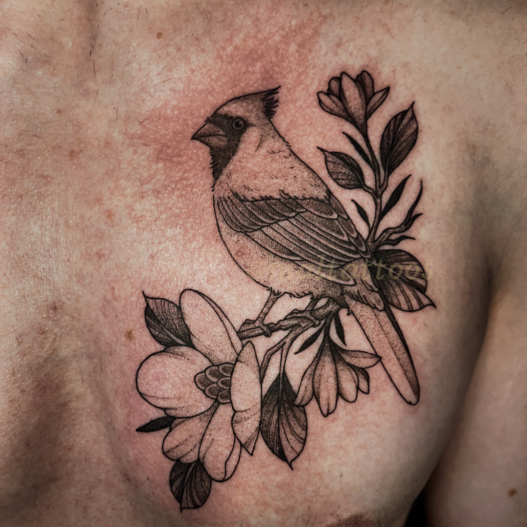 maltattoos mal miyares cardinal on magnolia branch illustrative black and grey tattoo fineline