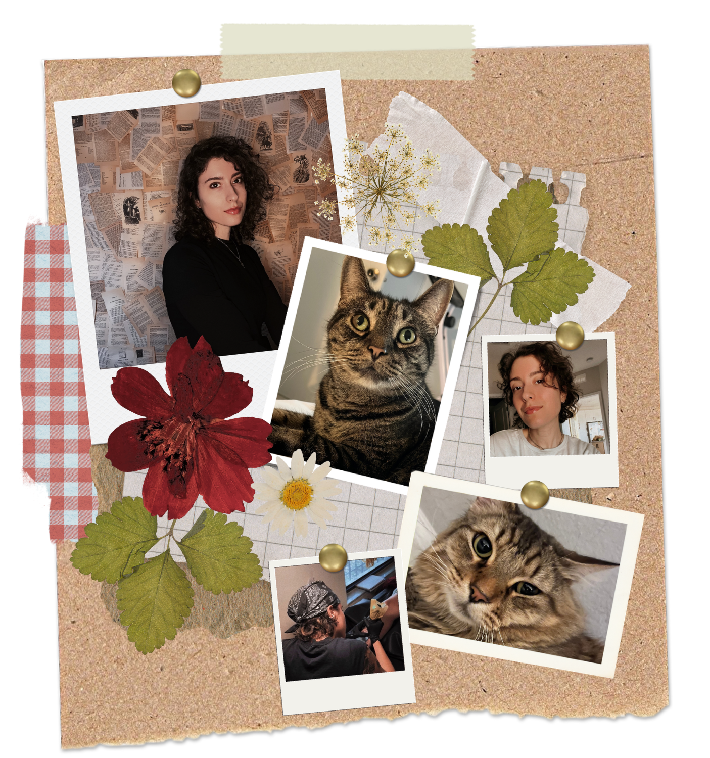 scrapbook collage photo board dark academia cottage core Mal miyares cats about me journal